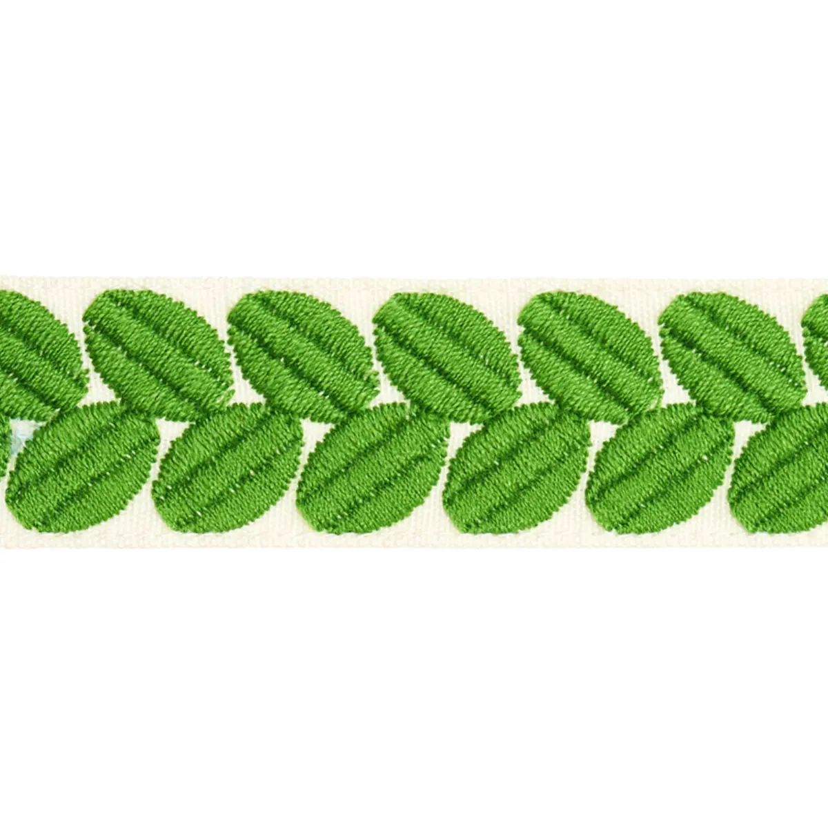 BERKELEY TAPE NARROW_ LEAF