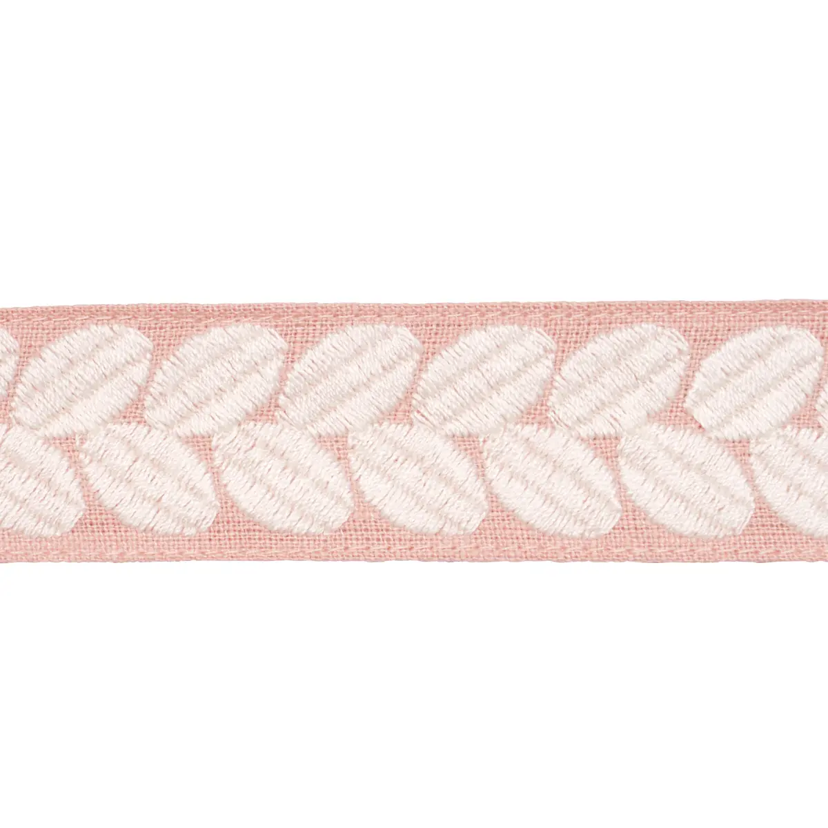 BERKELEY TAPE NARROW_ BLUSH