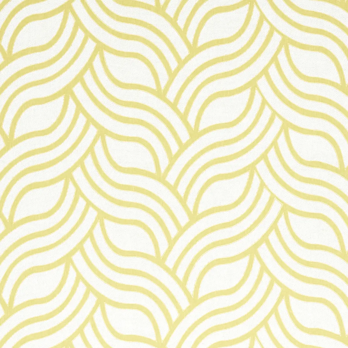 SANGOMAR APPLIQUÉ_ CITRON