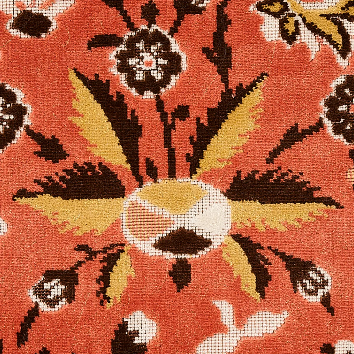 SAINT AMBROSE VELVET_ CORAL