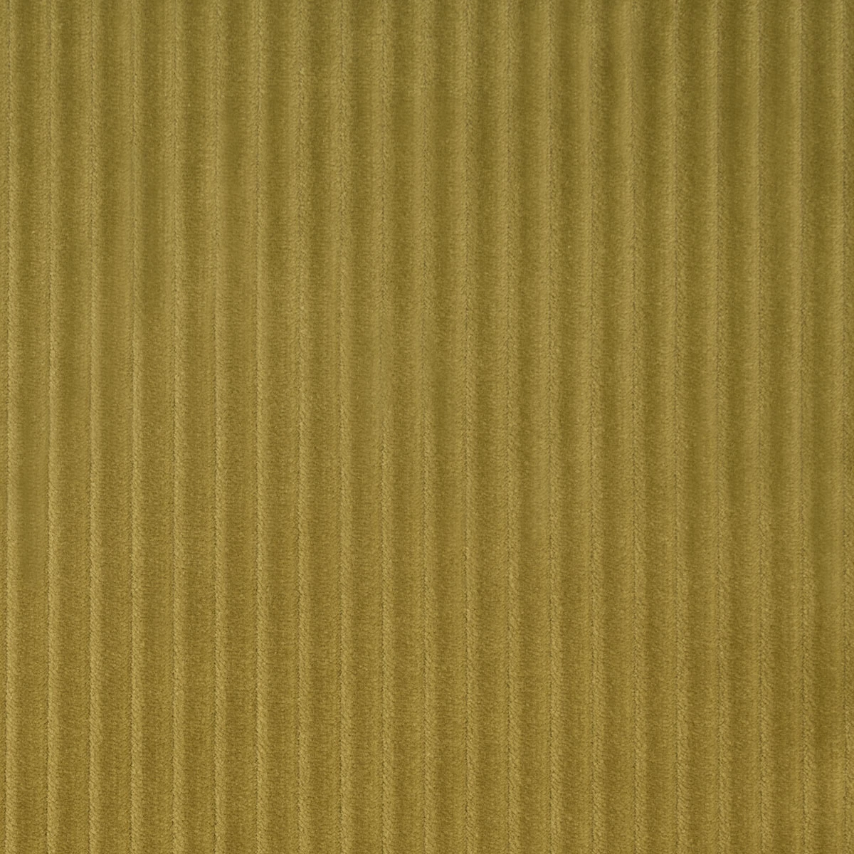 WYATT CORDUROY_ CHARTREUSE
