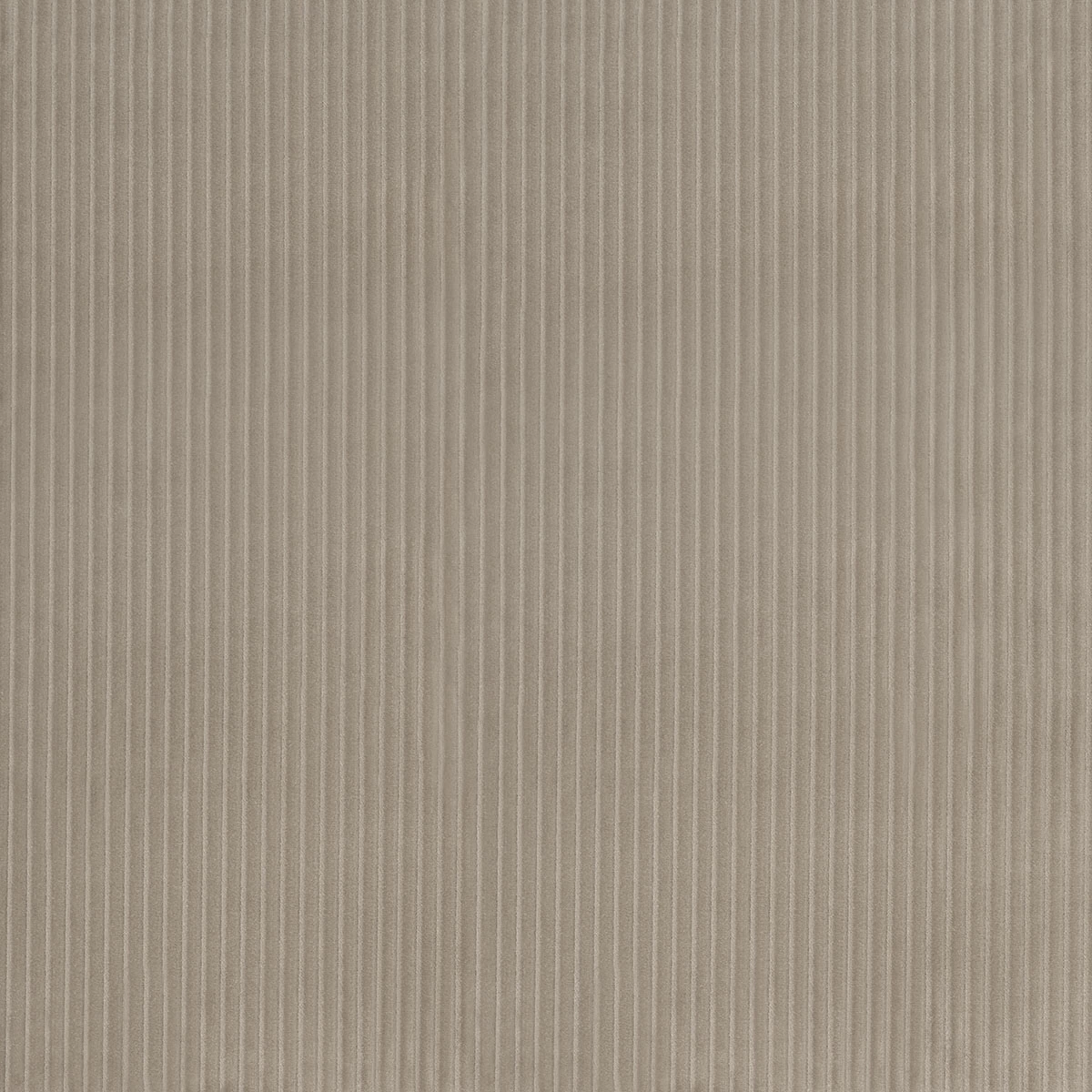 WYATT CORDUROY_ SANDSTONE