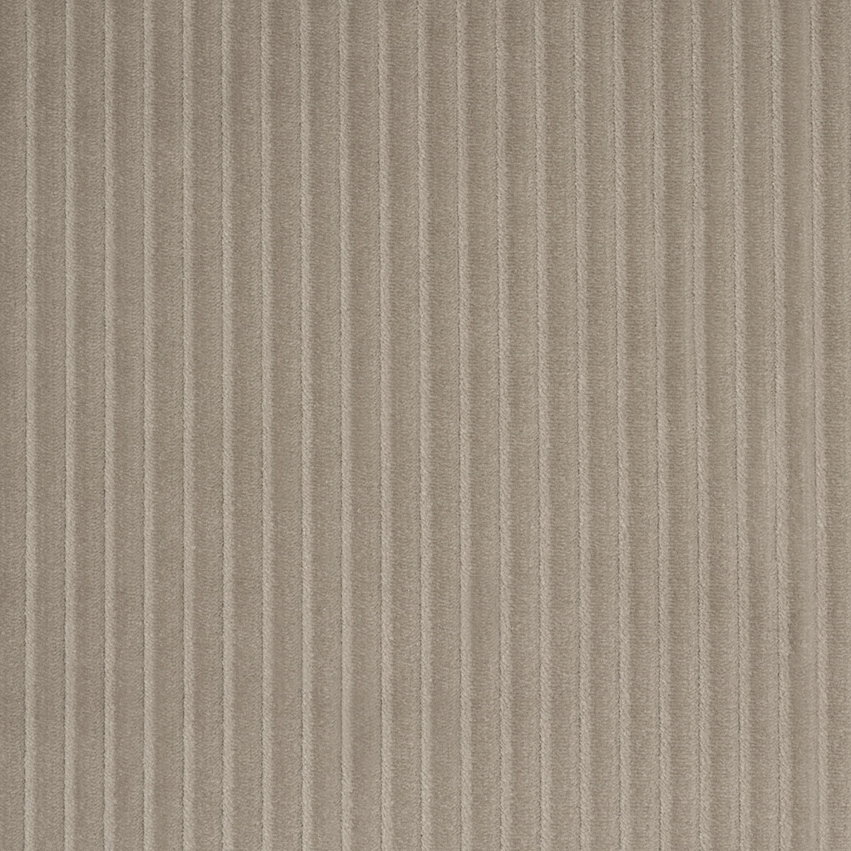 WYATT CORDUROY_ SANDSTONE