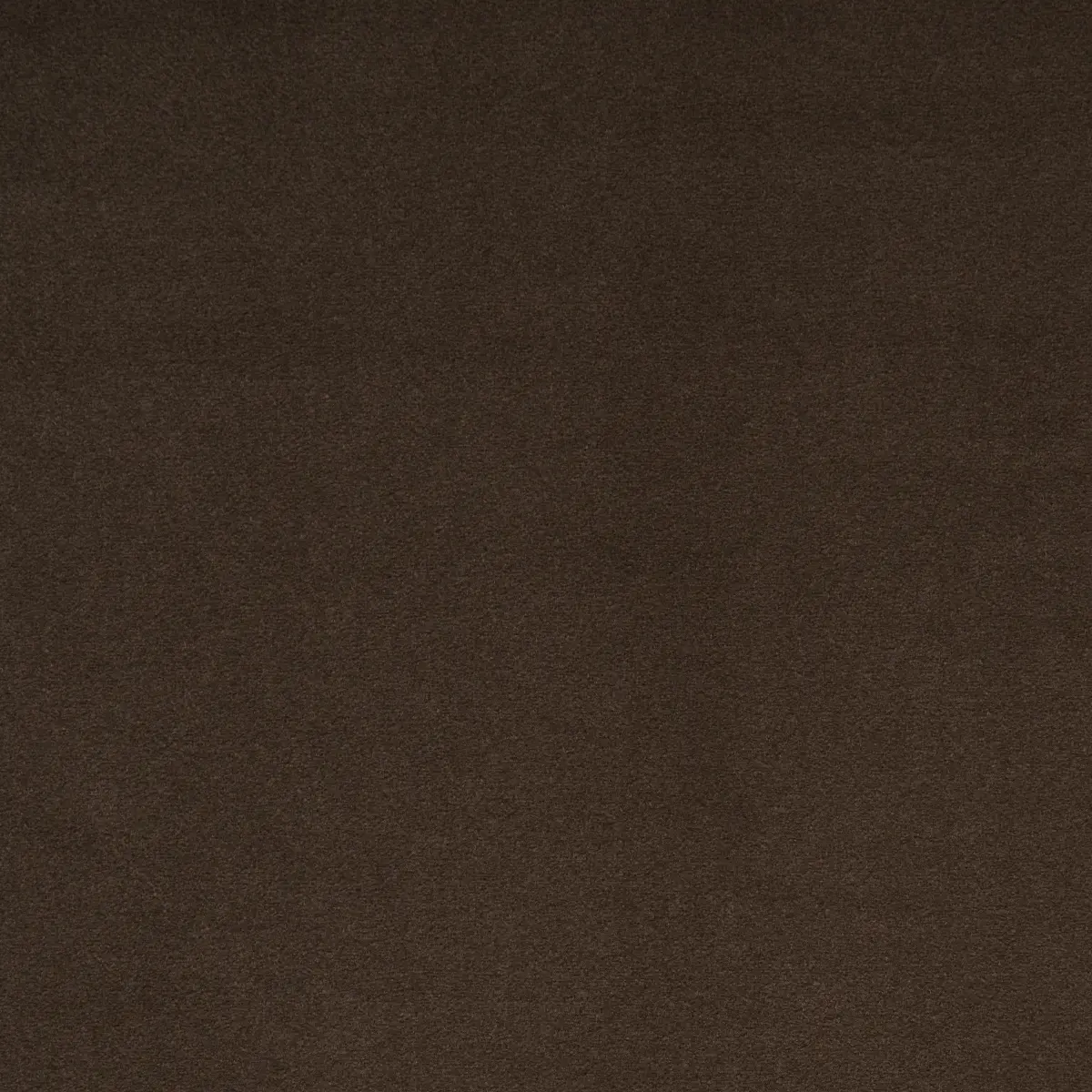 HERMINE VIRGIN WOOL_ CHOCOLATE