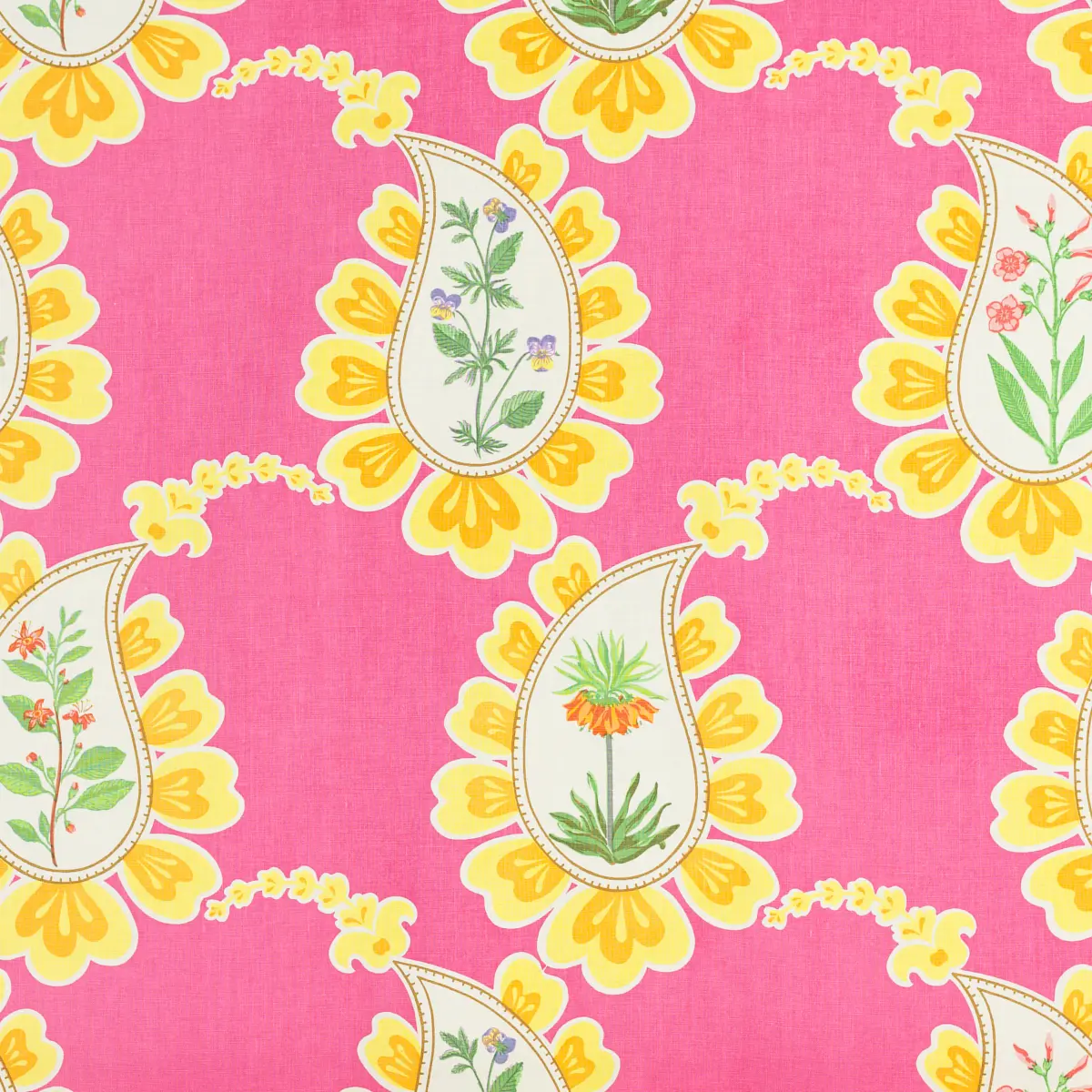 Bombay_ FUCHSIA