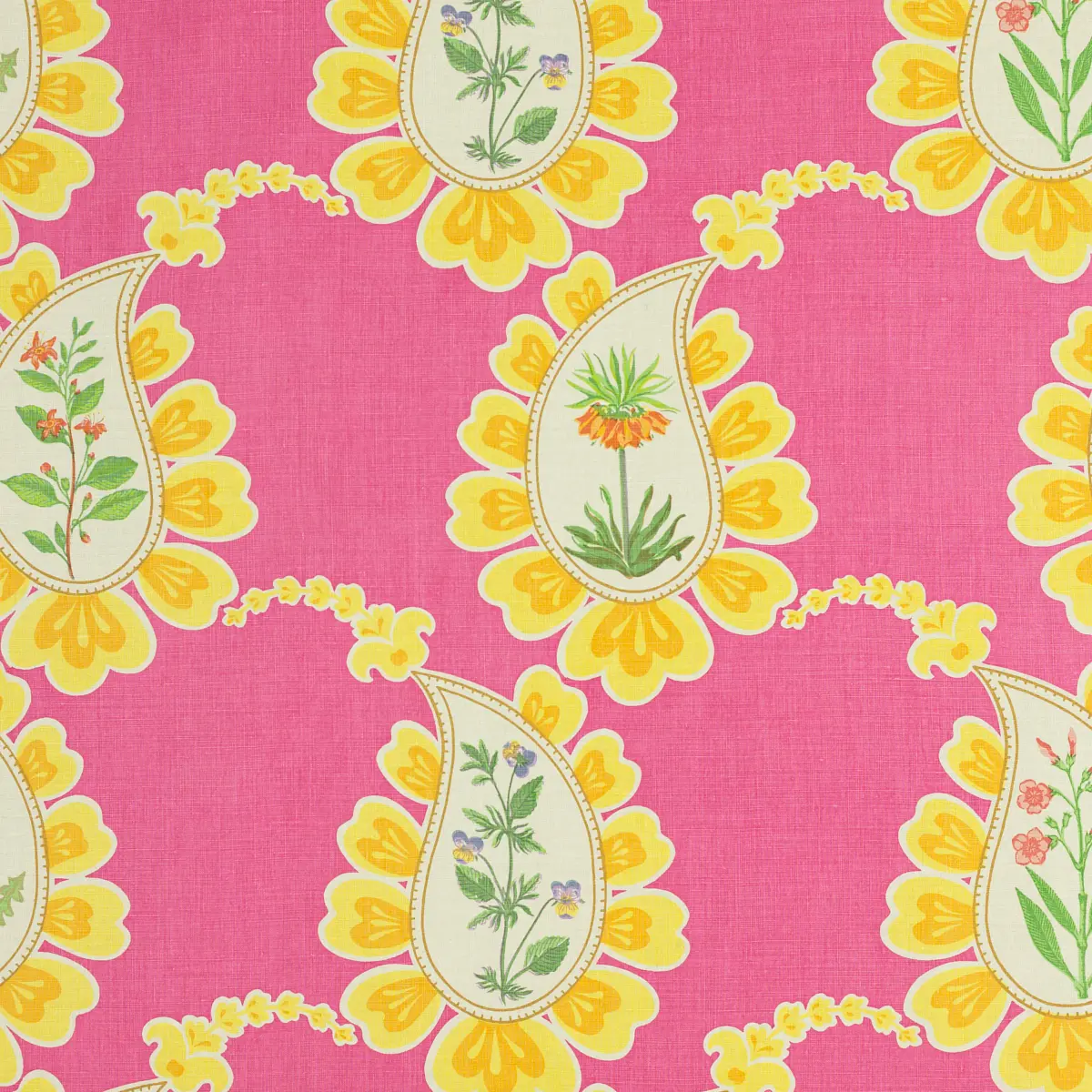 Bombay_ FUCHSIA