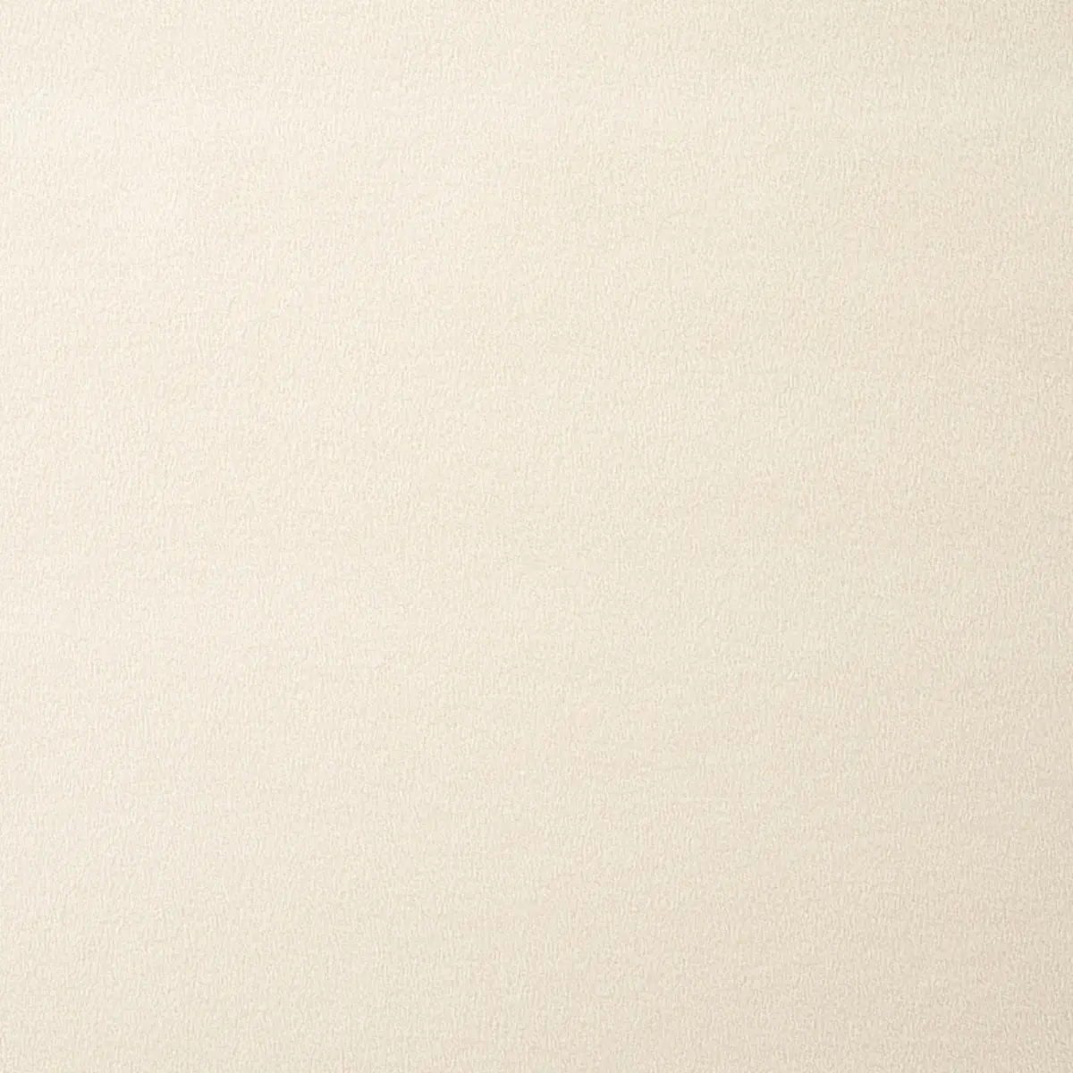 KARLA FLEECED WOOL_ IVORY