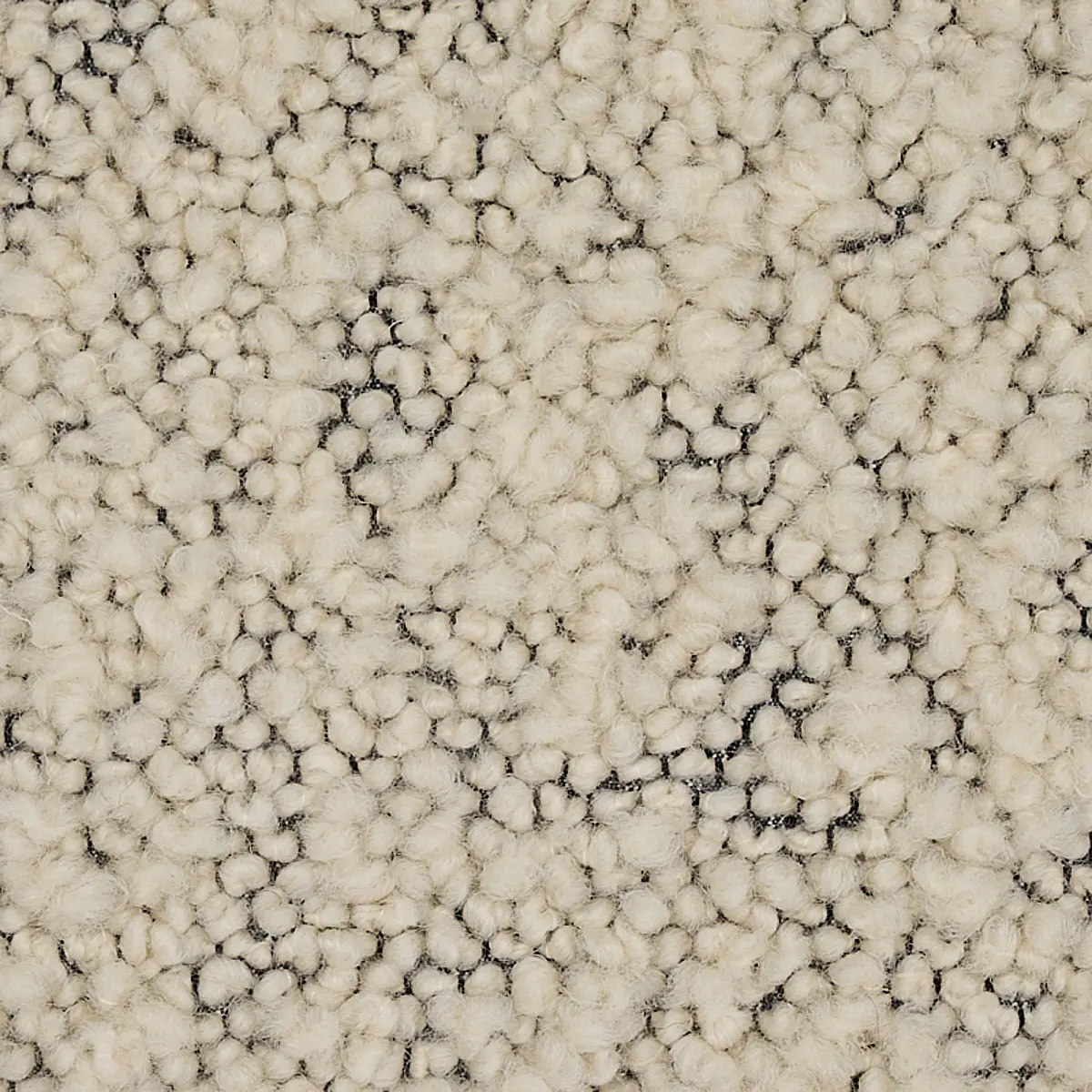 MARGARETE BOUCLÉ_ IVORY ON CHARCOAL