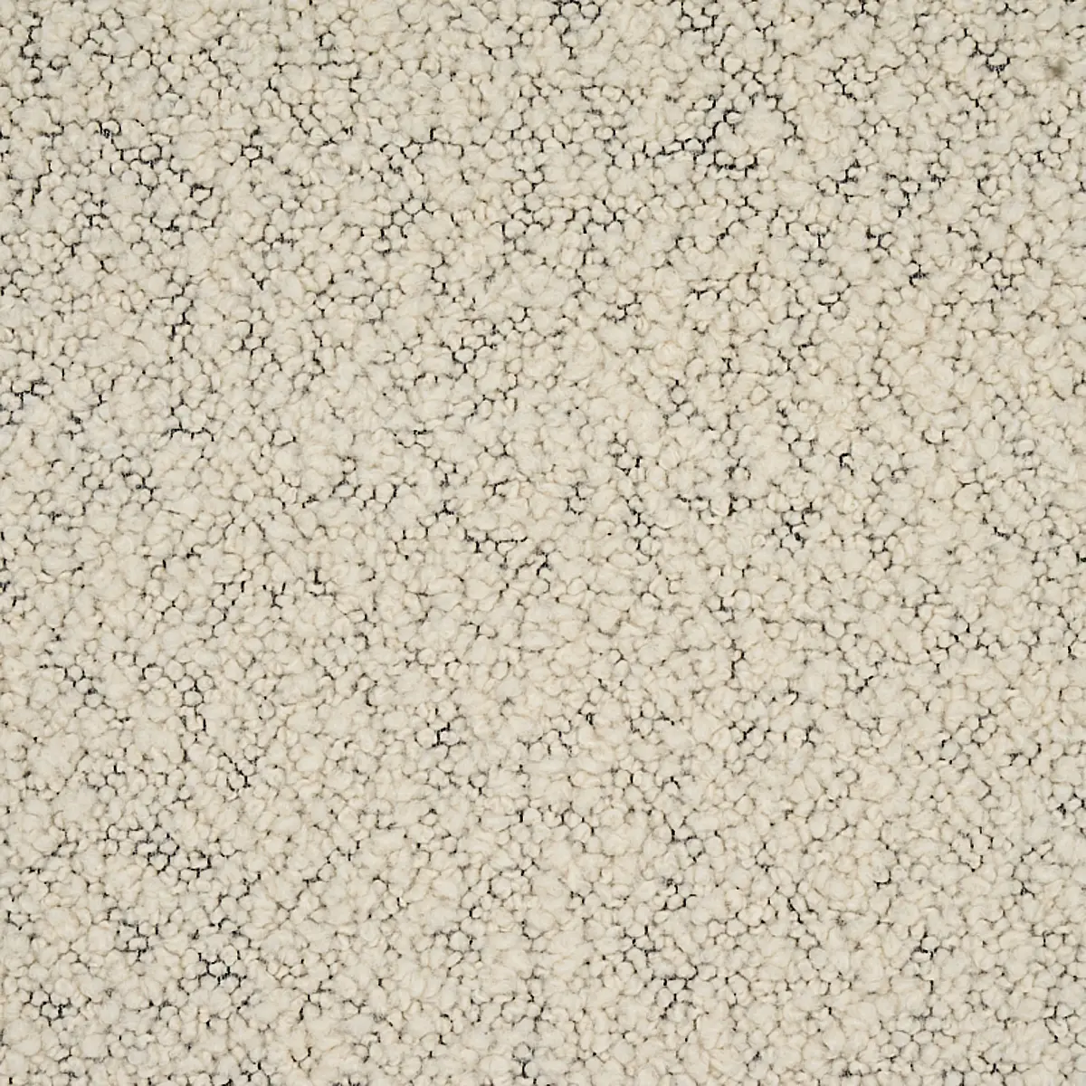 MARGARETE BOUCLÉ_ IVORY ON CHARCOAL