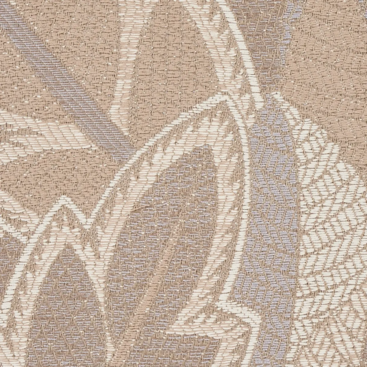JAPURA FOREST_ NEUTRAL
