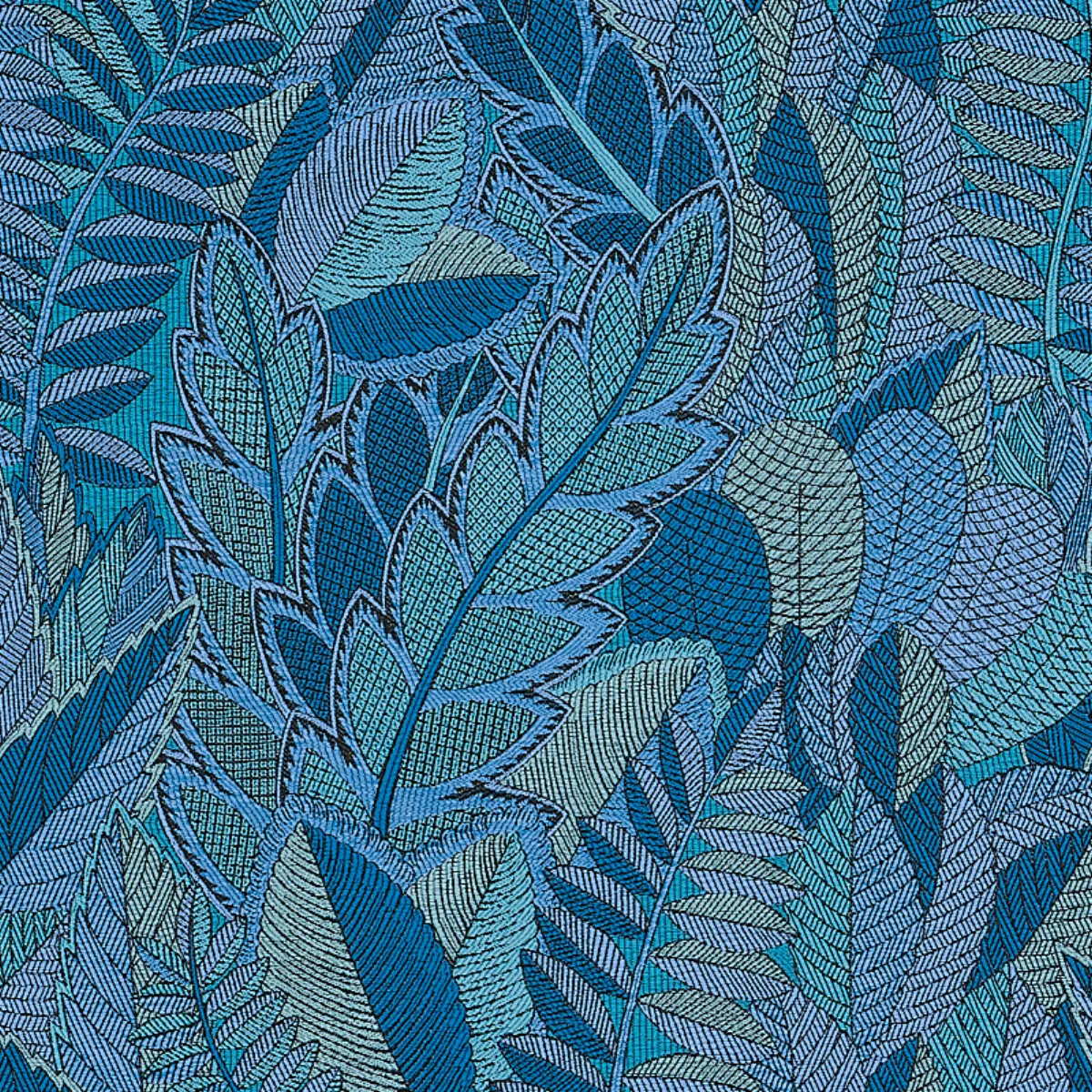 JAPURA FOREST_ BLUES