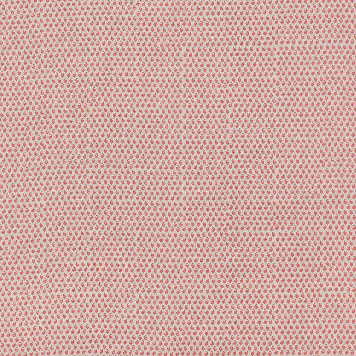 Ceylon_ GRAPEFRUIT