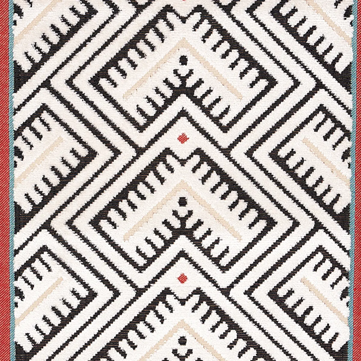 PARVIN VELVET_ BLACK AND IVORY