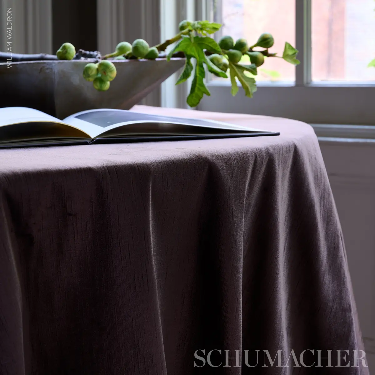 DOROTHEA SILK VELVET_ ESPRESSO