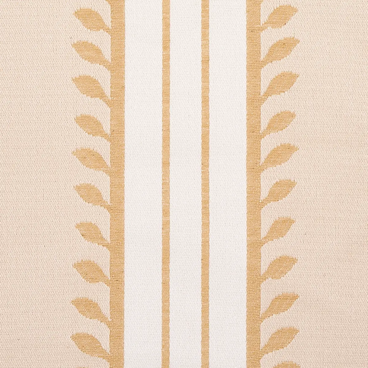 ETRUSCAN STRIPE_ IVORY & OCHRE