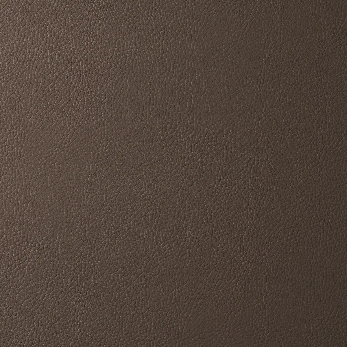 Vegan Leather Indoor/Outdoor - Java Fabrics | Schumacher