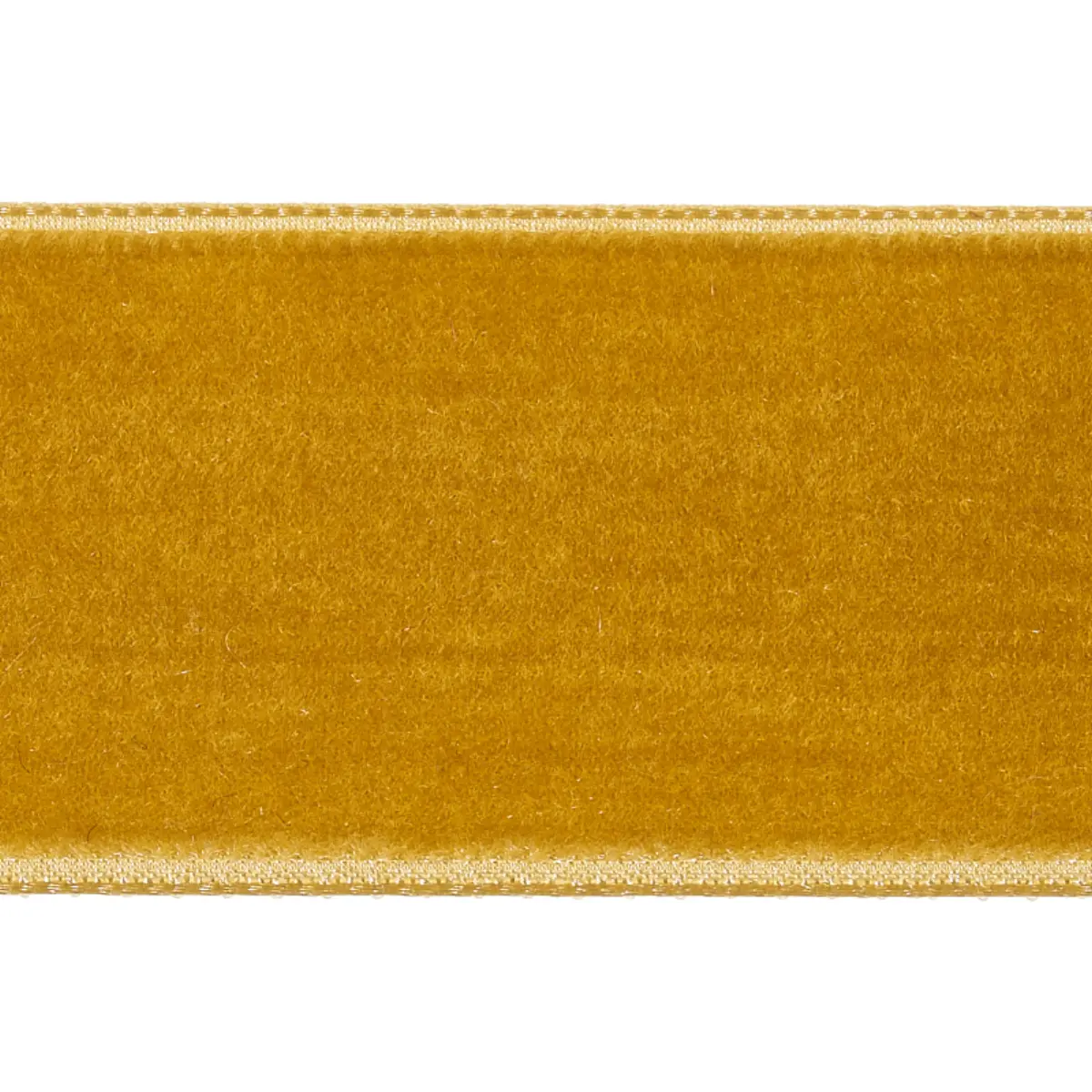 VELVET TAPE WIDE_ GOLD