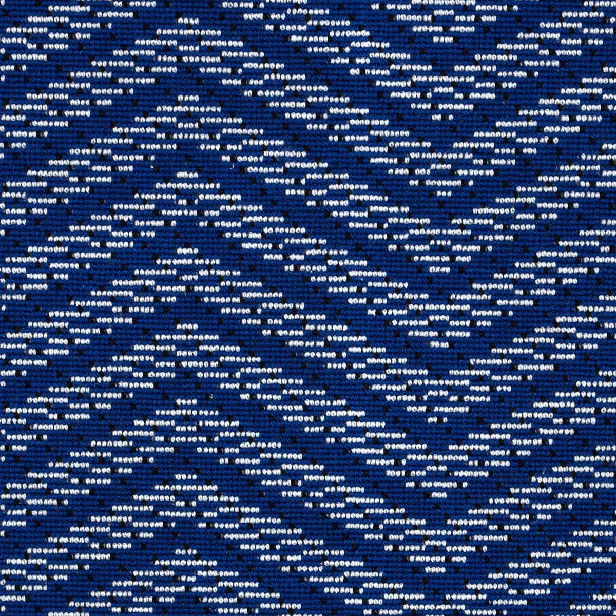 SPARRE ÉPINGLÉ_ COBALT