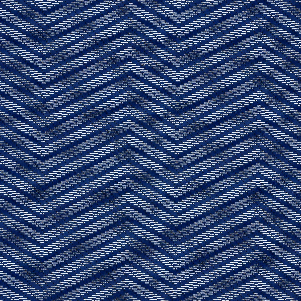 SPARRE ÉPINGLÉ_ COBALT