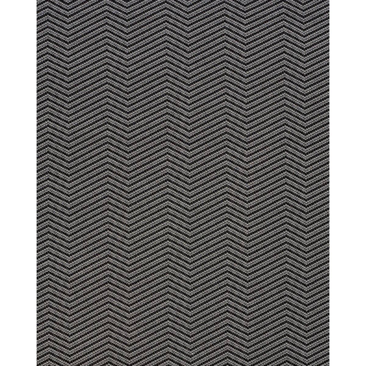 SPARRE ÉPINGLÉ_ CARBON
