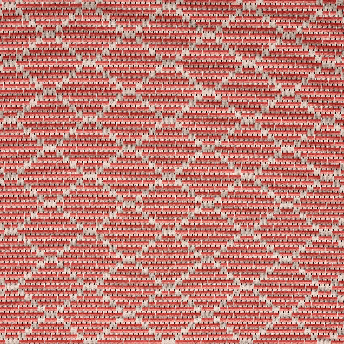 BERG ÉPINGLÉ_ CORAL
