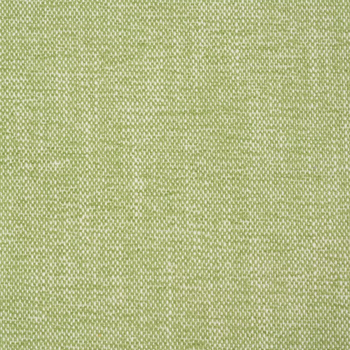 DEAN INDOOR/OUTDOOR_ GRASS