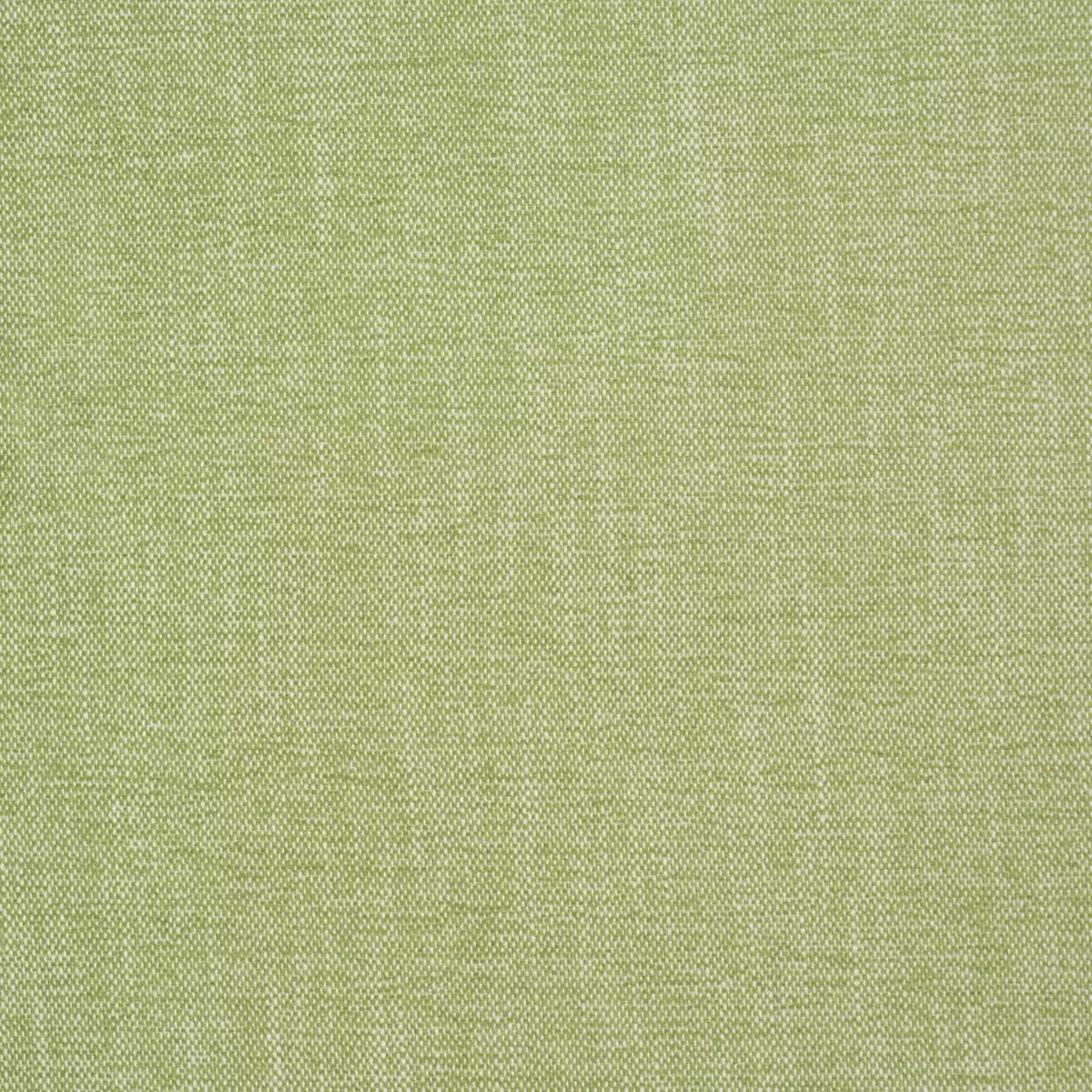 DEAN INDOOR/OUTDOOR_ GRASS
