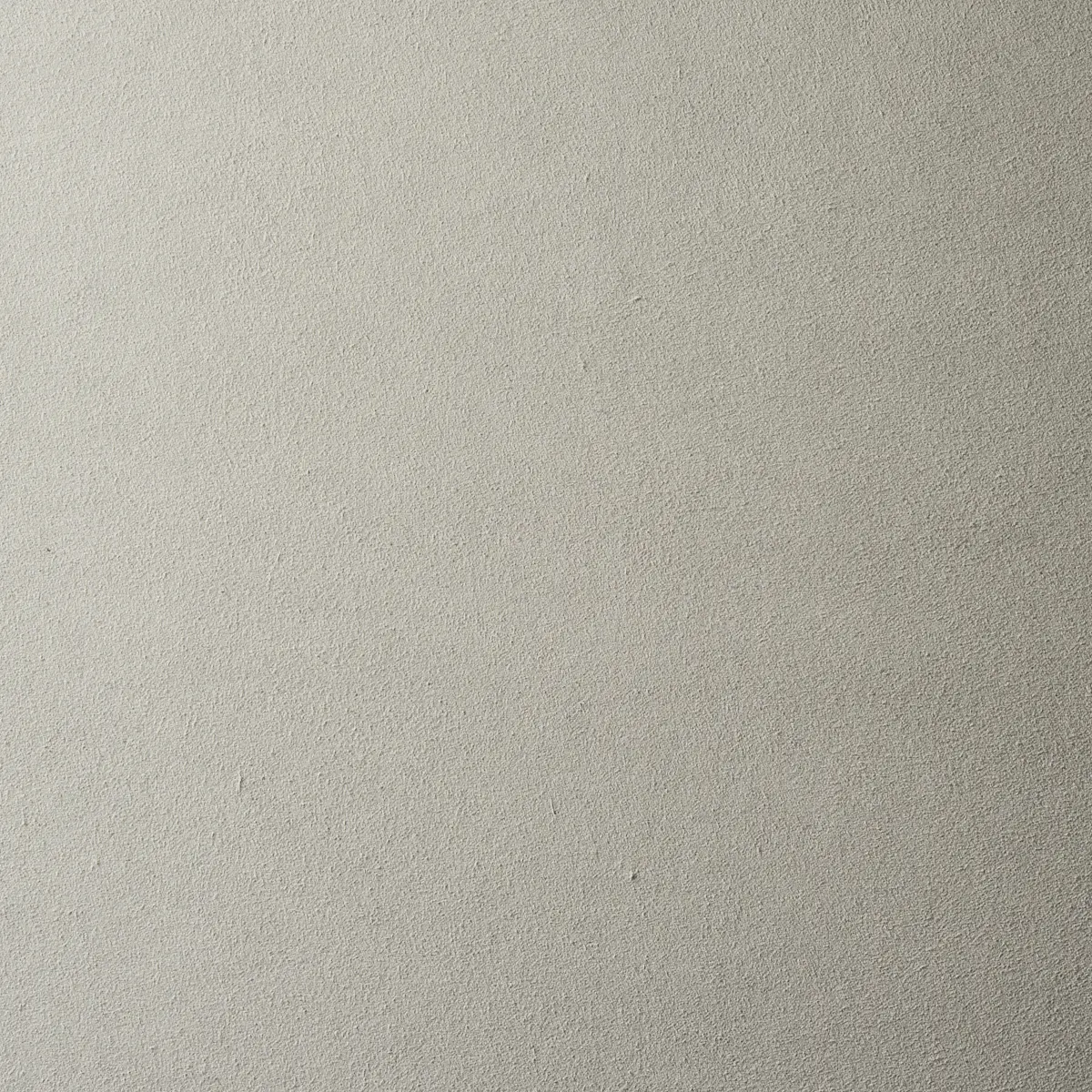 VEGAN SUEDE_ DOVE