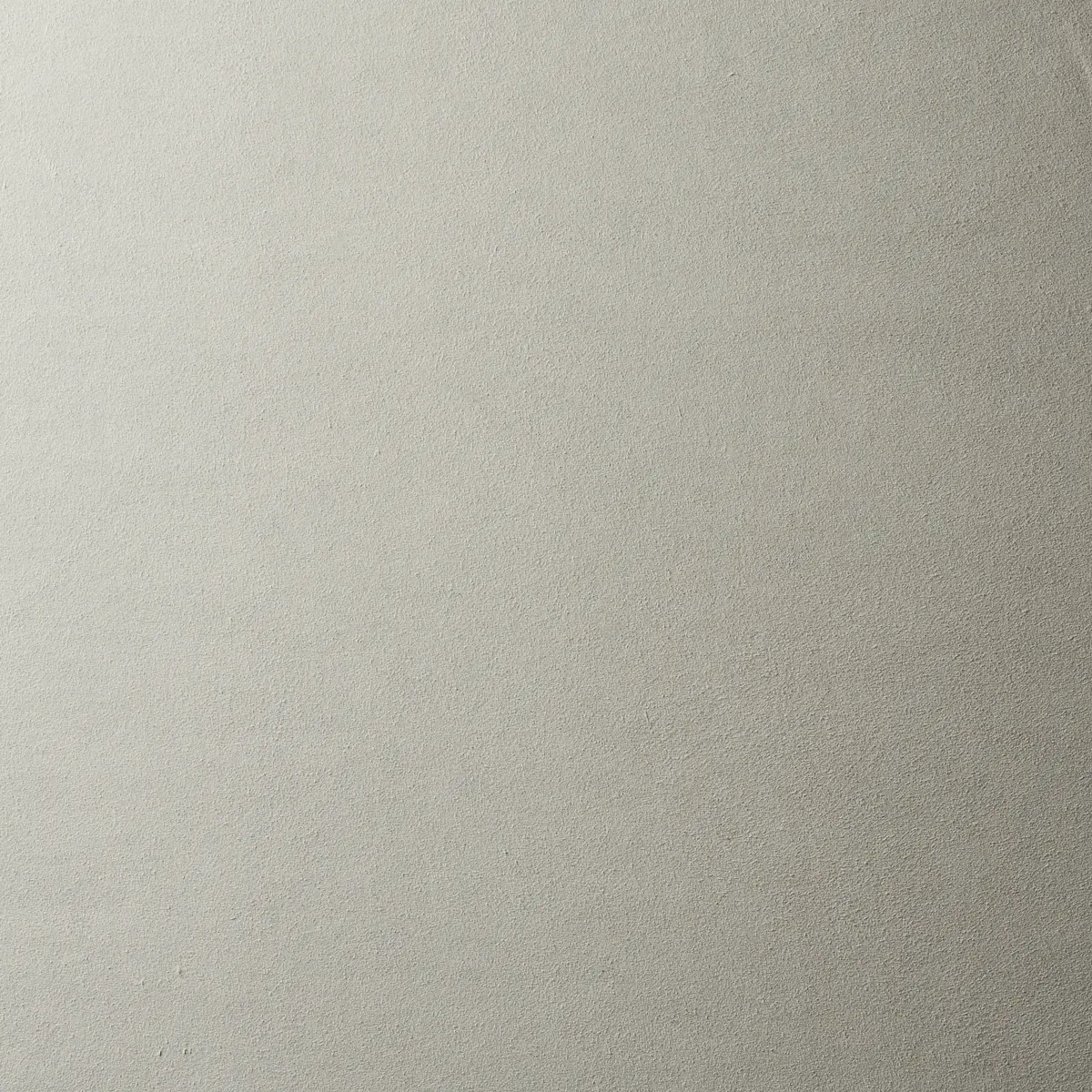 VEGAN SUEDE_ DOVE