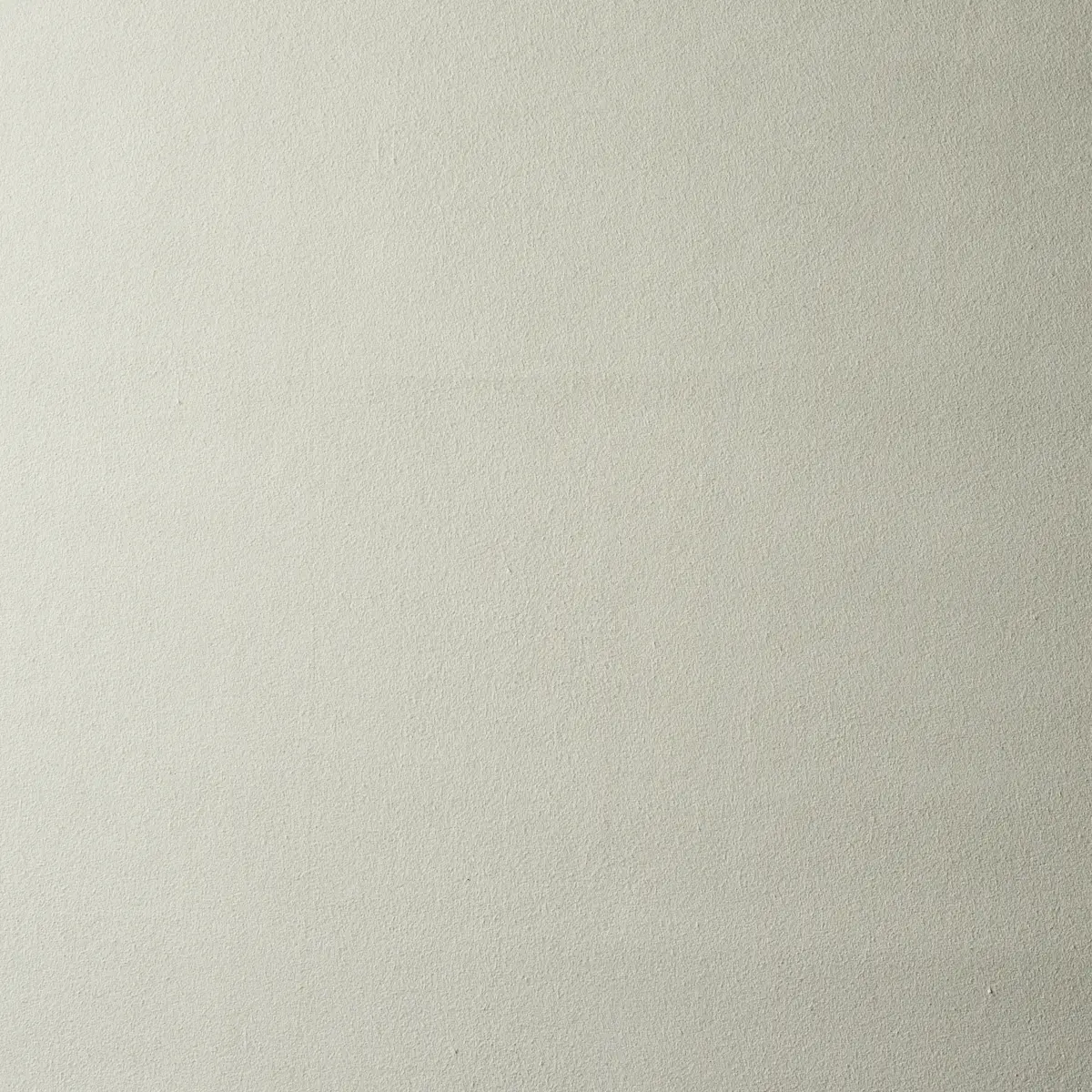 VEGAN SUEDE_ OYSTER