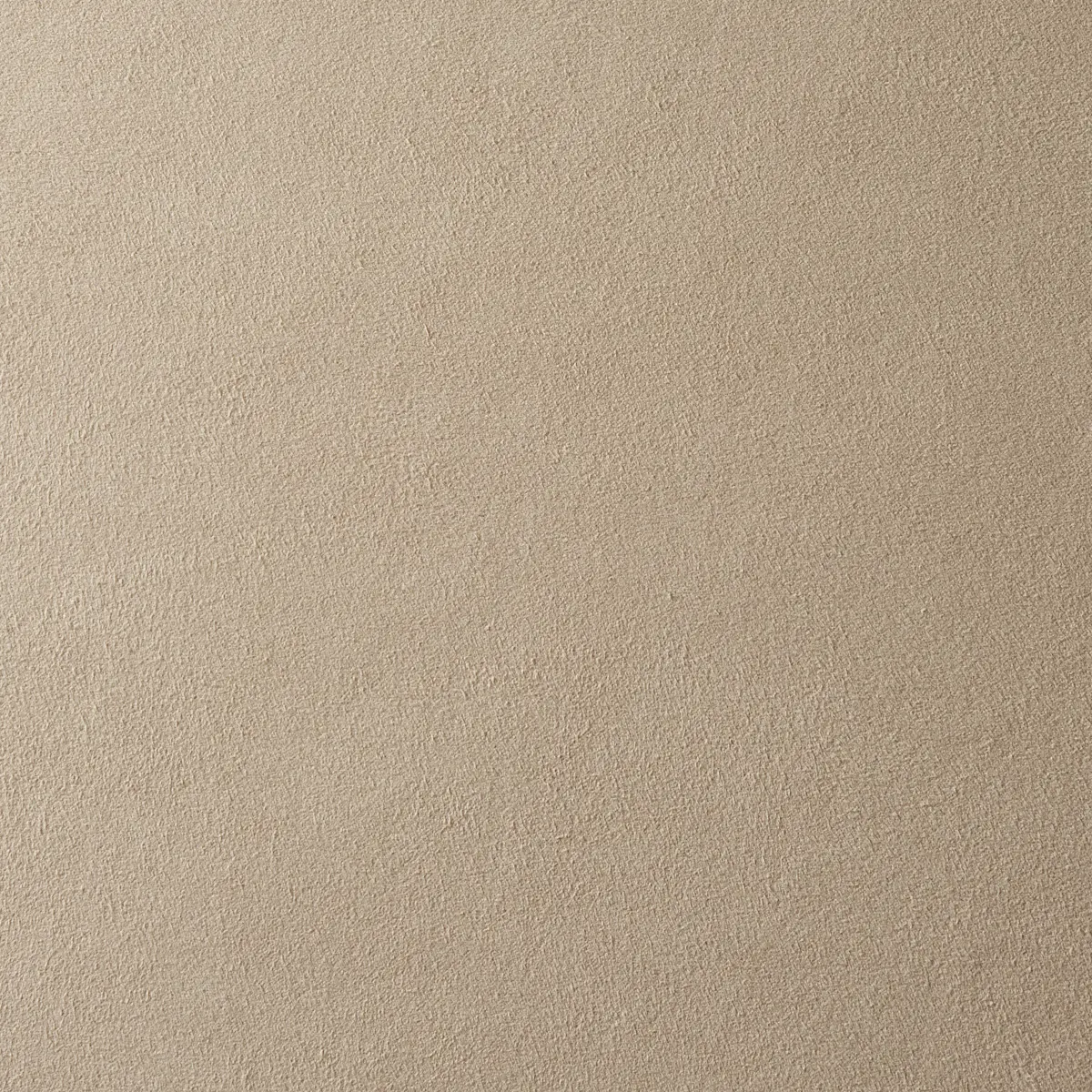 VEGAN SUEDE_ BIRCH