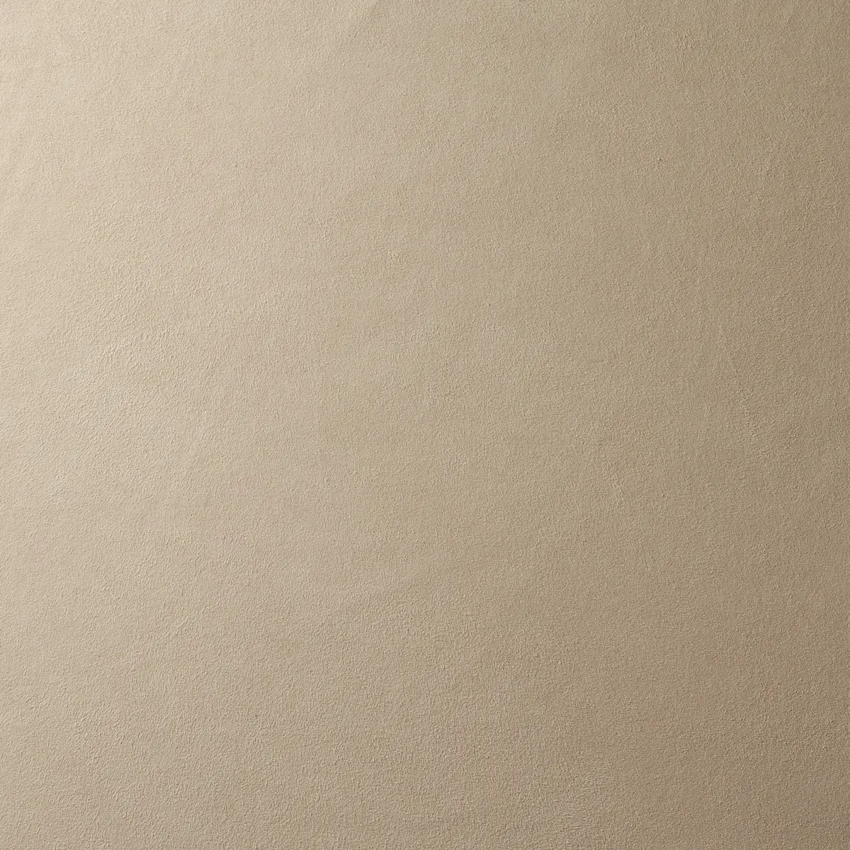 VEGAN SUEDE_ BIRCH