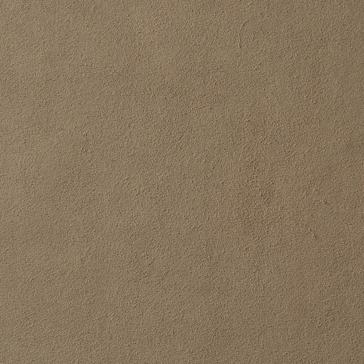 VEGAN SUEDE_ FAWN