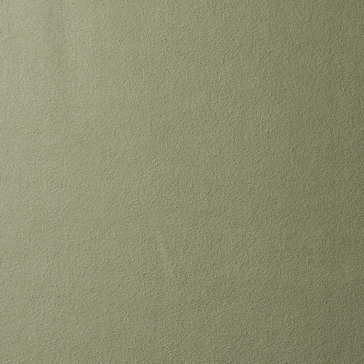 VEGAN SUEDE_ SAGE