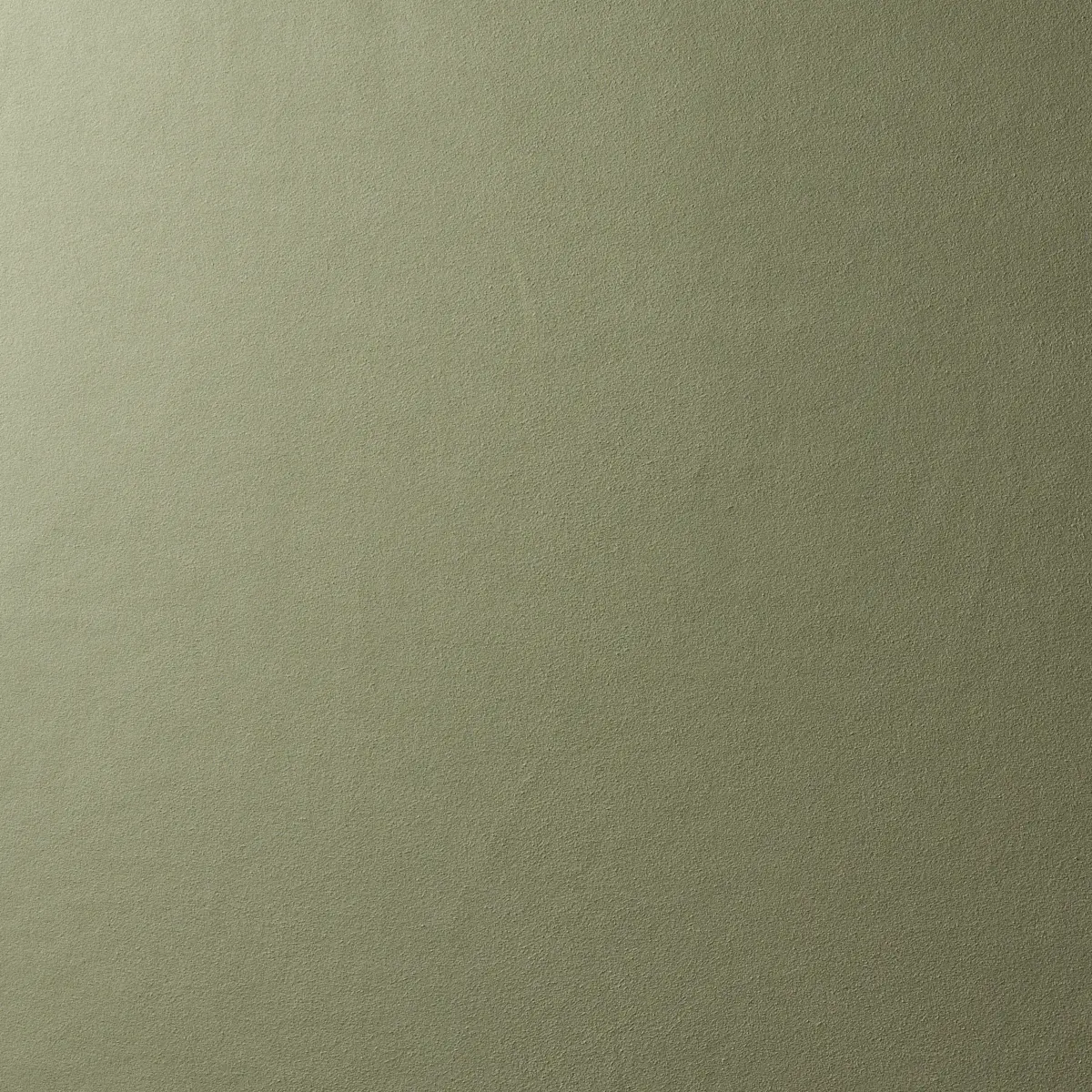 VEGAN SUEDE_ SAGE