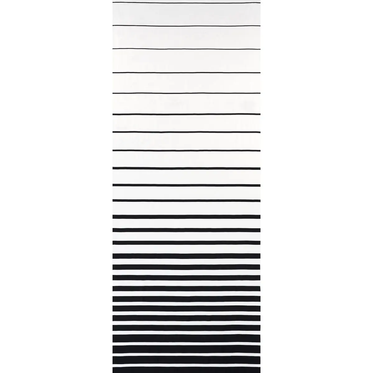 RIBBON APPLIQUÉ PANEL_ BLACK ON IVORY