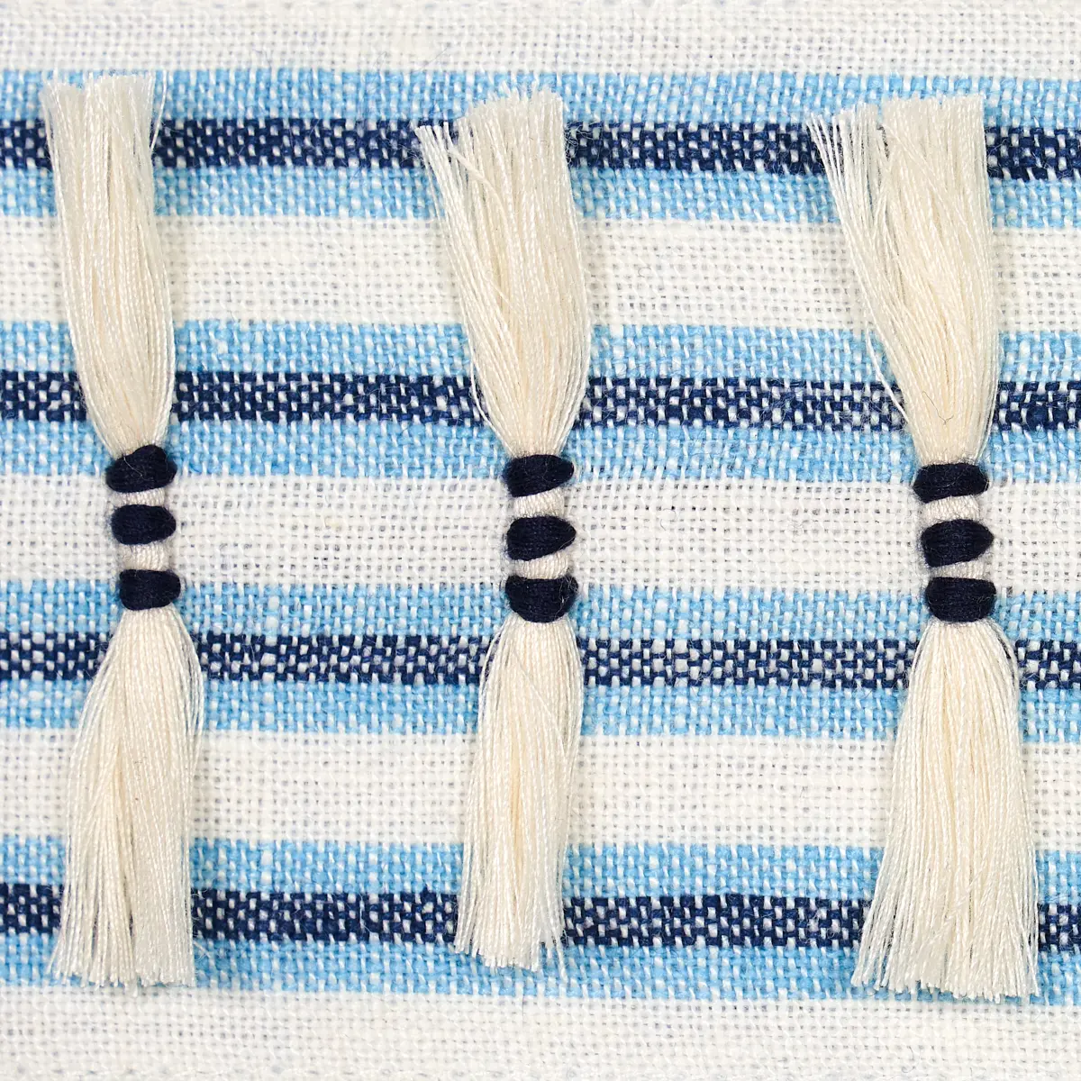 EYELASH FRINGE_ BLUE