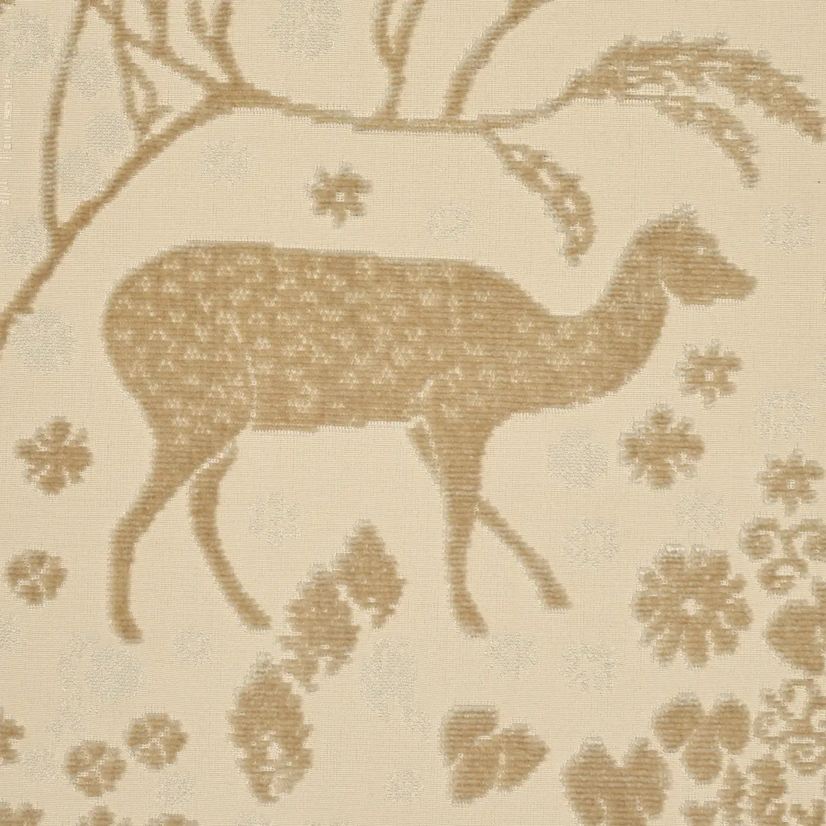 ARBOR FOREST_ CHAMPAGNE