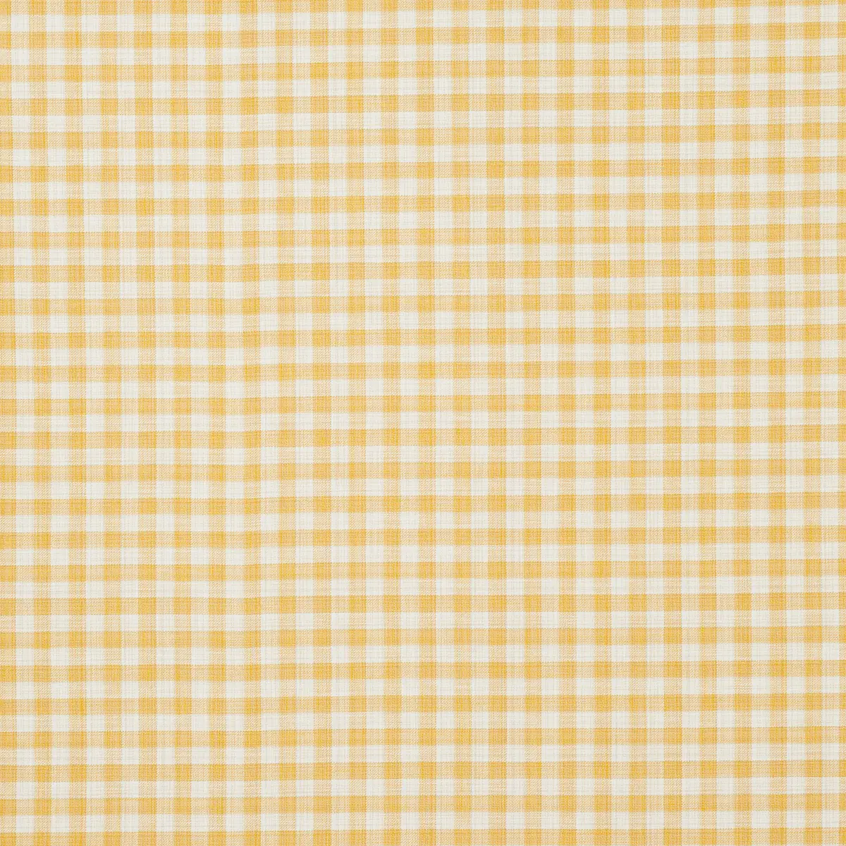 MARTINA PLAID INDOOR/OUTDOOR_ YELLOW