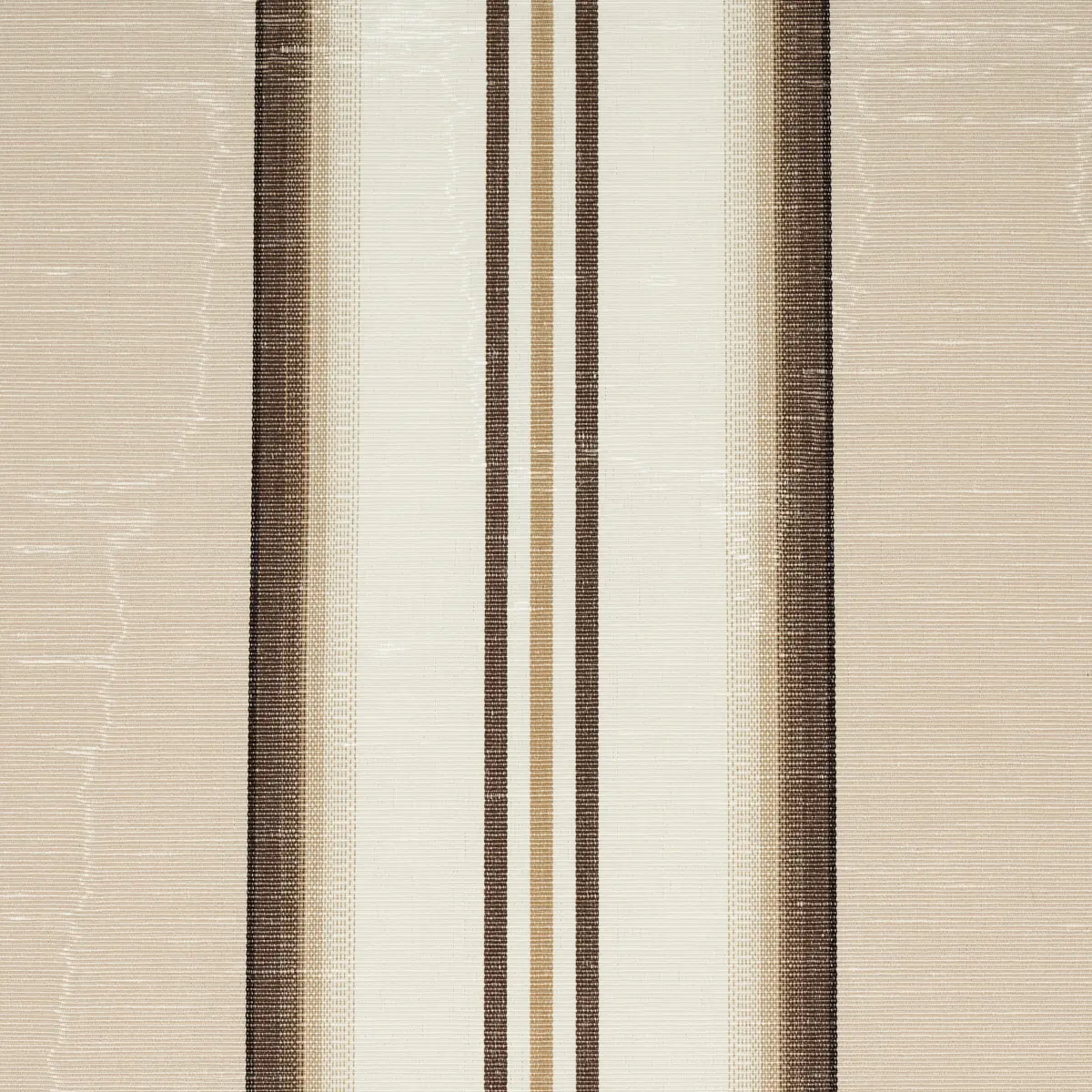 RANDOLPH STRIPE MOIRÉ_ SHELL