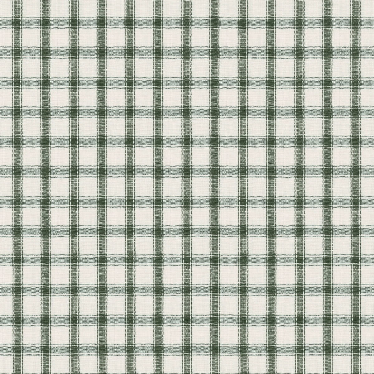 CRAWFORD LINEN CHECK_ FOREST