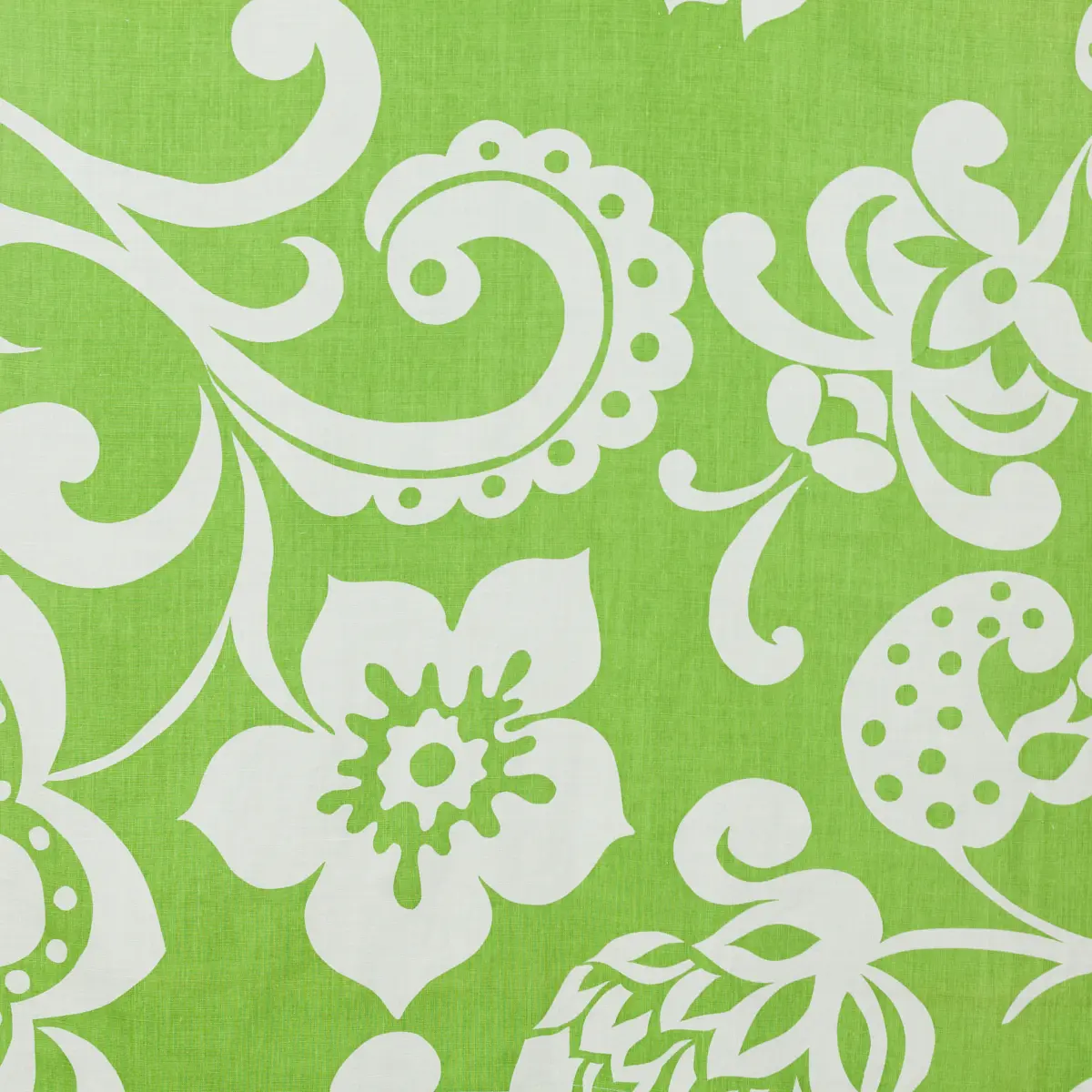 Lulu_ LAWN