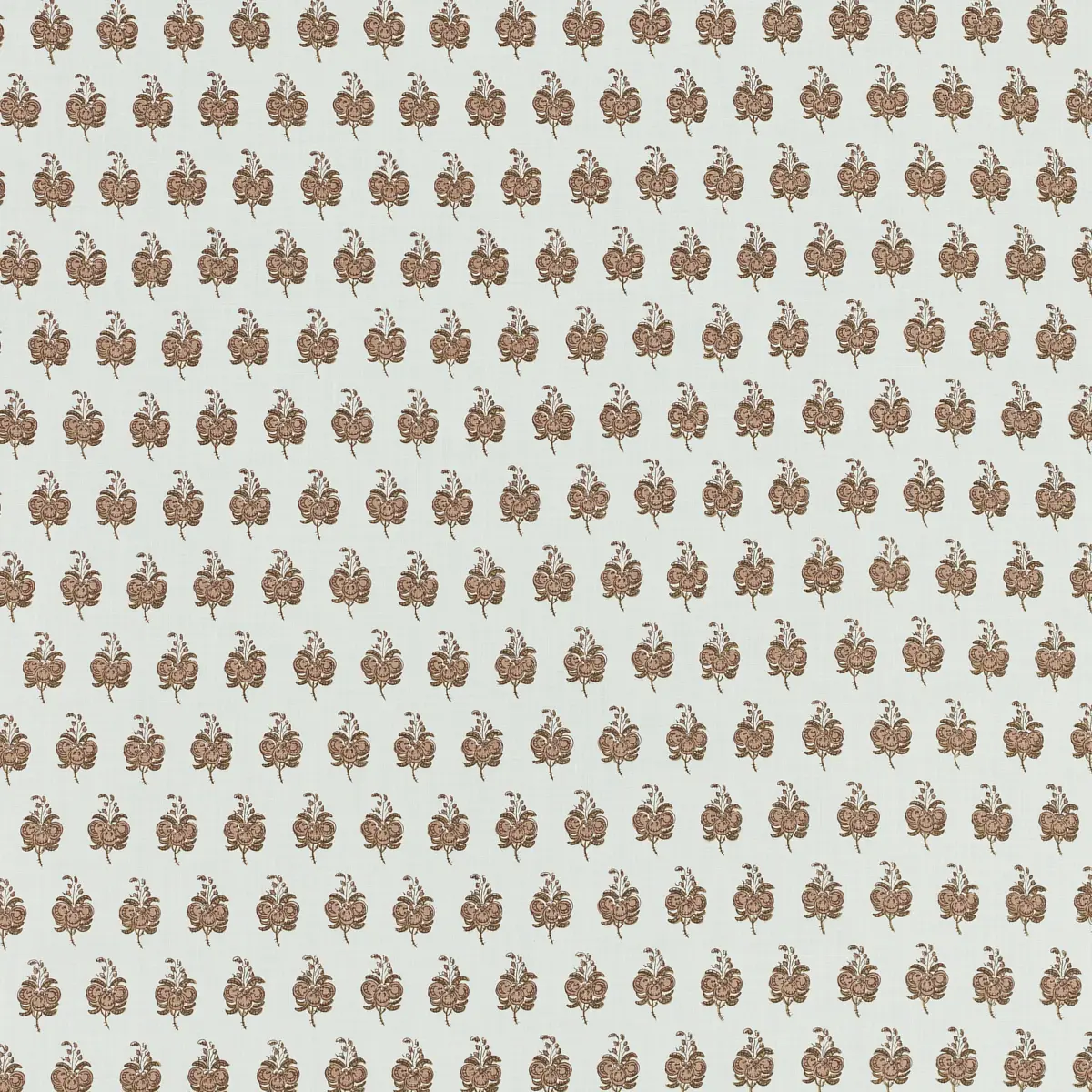 Pasha_ CARDAMON