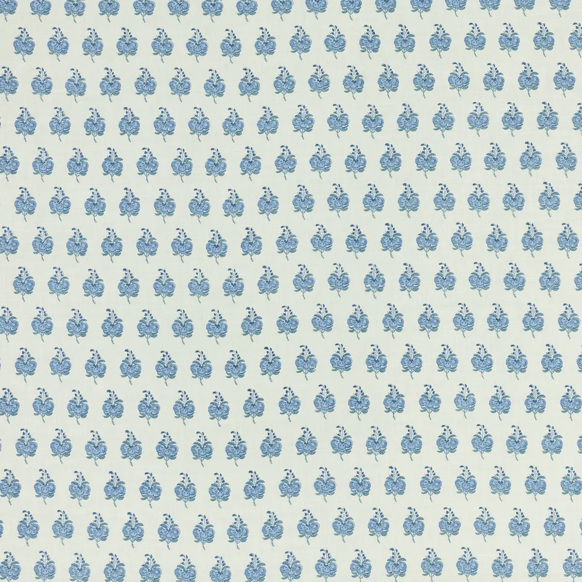 Pasha_ DELFT