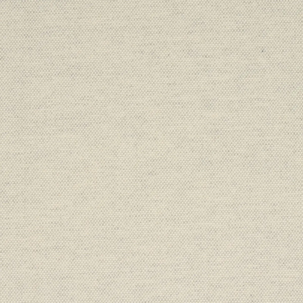 ATTICUS WOOL_ BIRCH