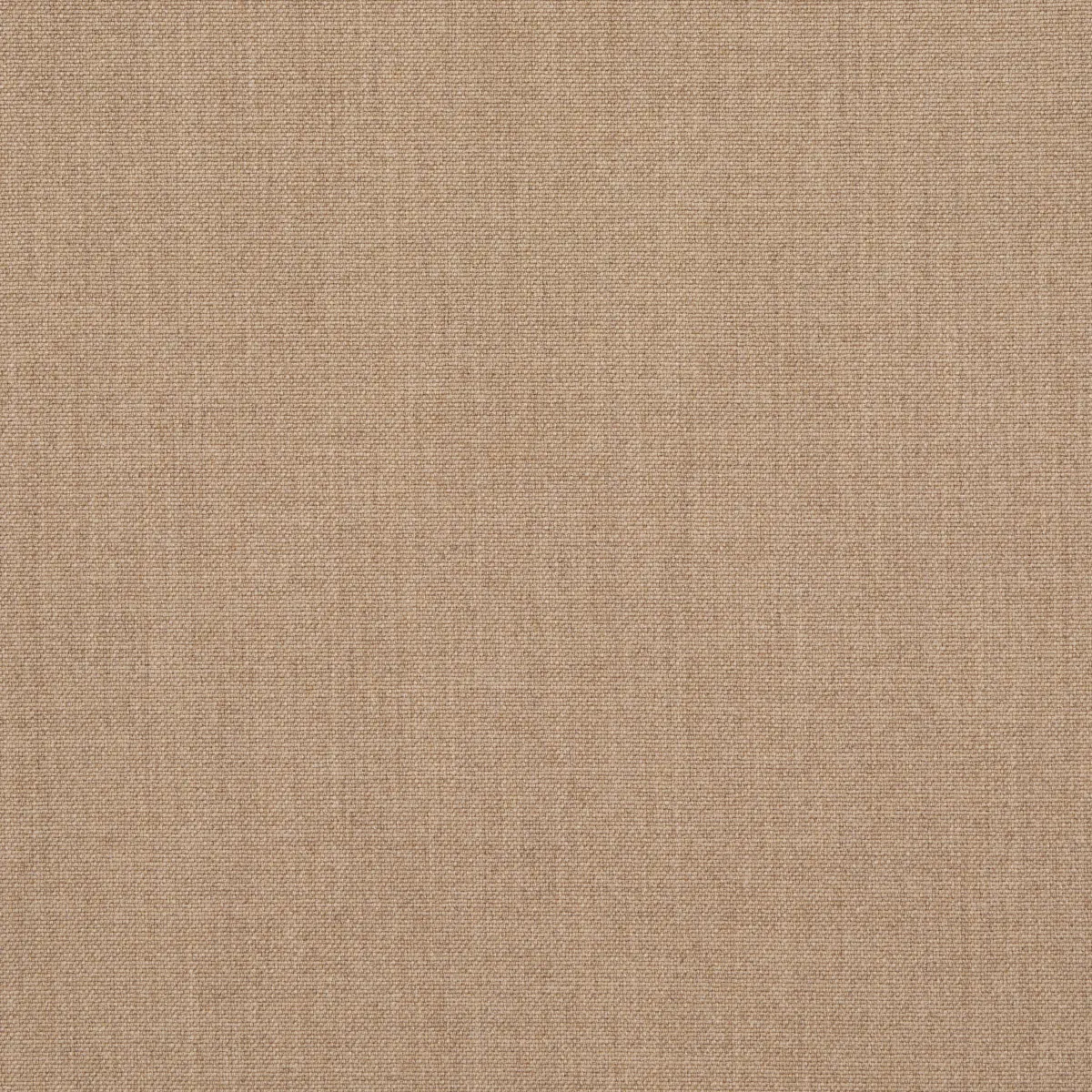 ATTICUS WOOL_ CAMEL