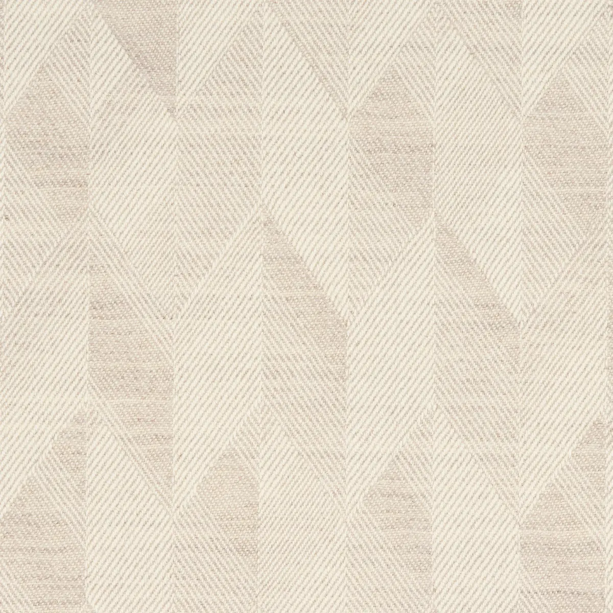 EZRA WOOL_ BIRCH