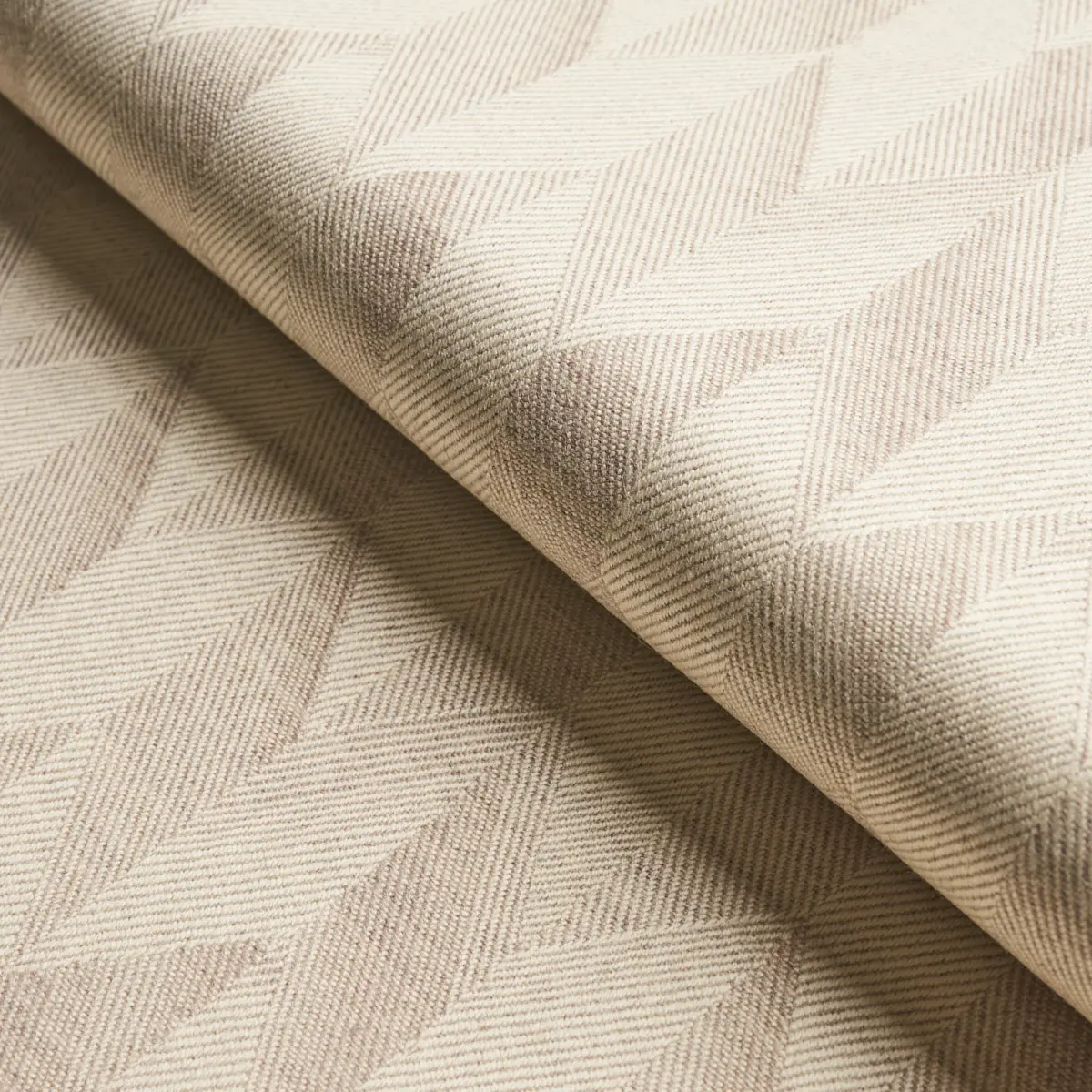 EZRA WOOL_ BIRCH