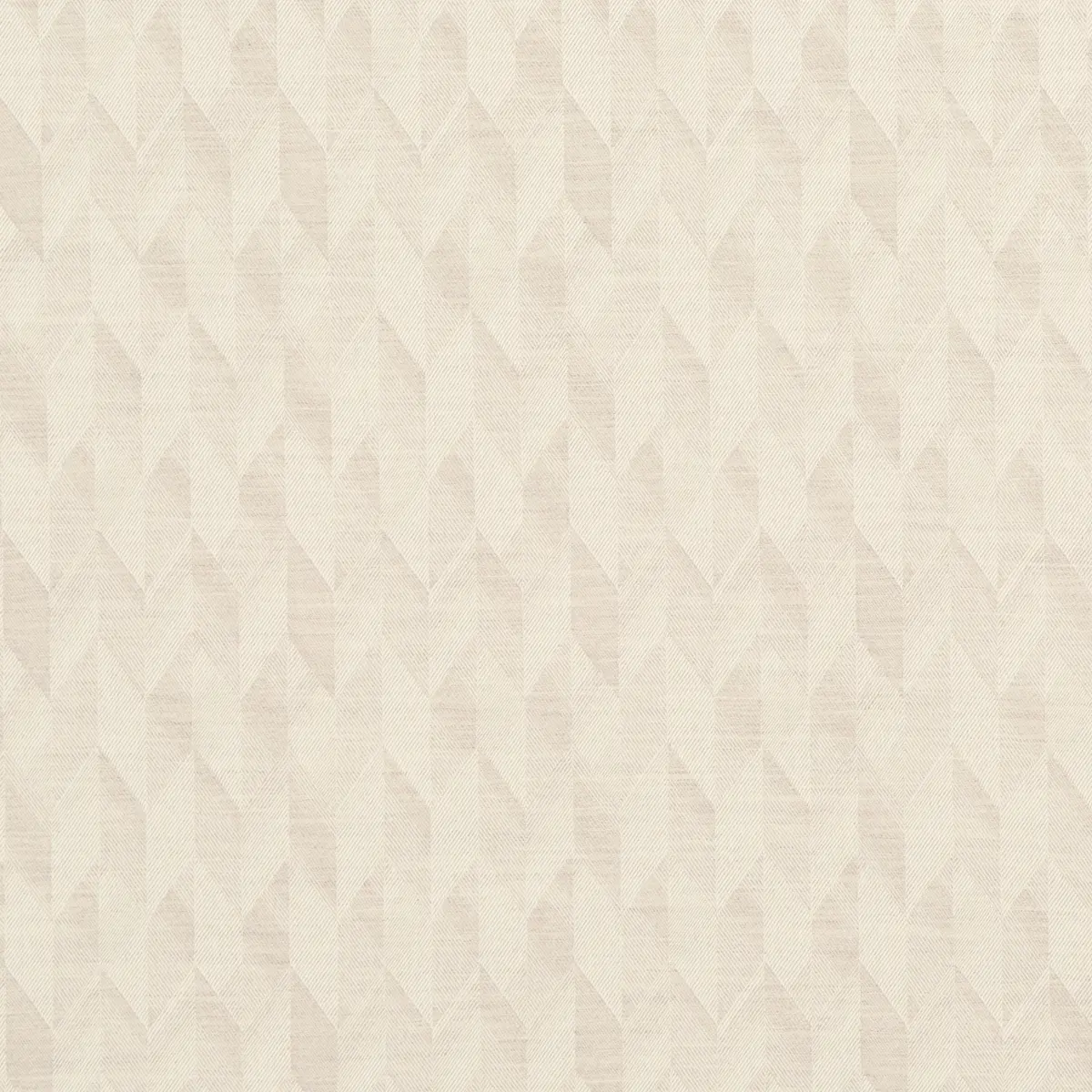 EZRA WOOL_ BIRCH