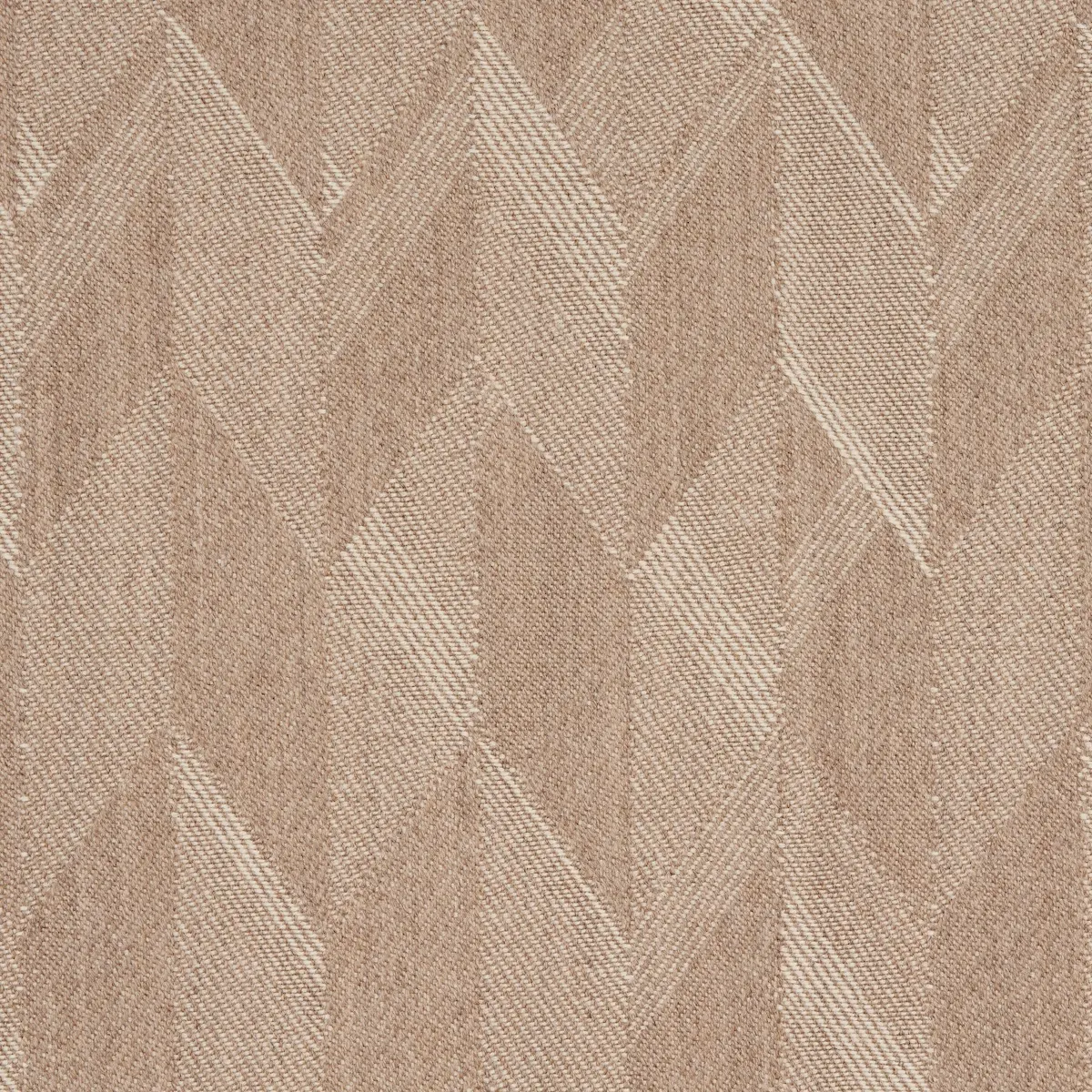 EZRA WOOL_ CAMEL